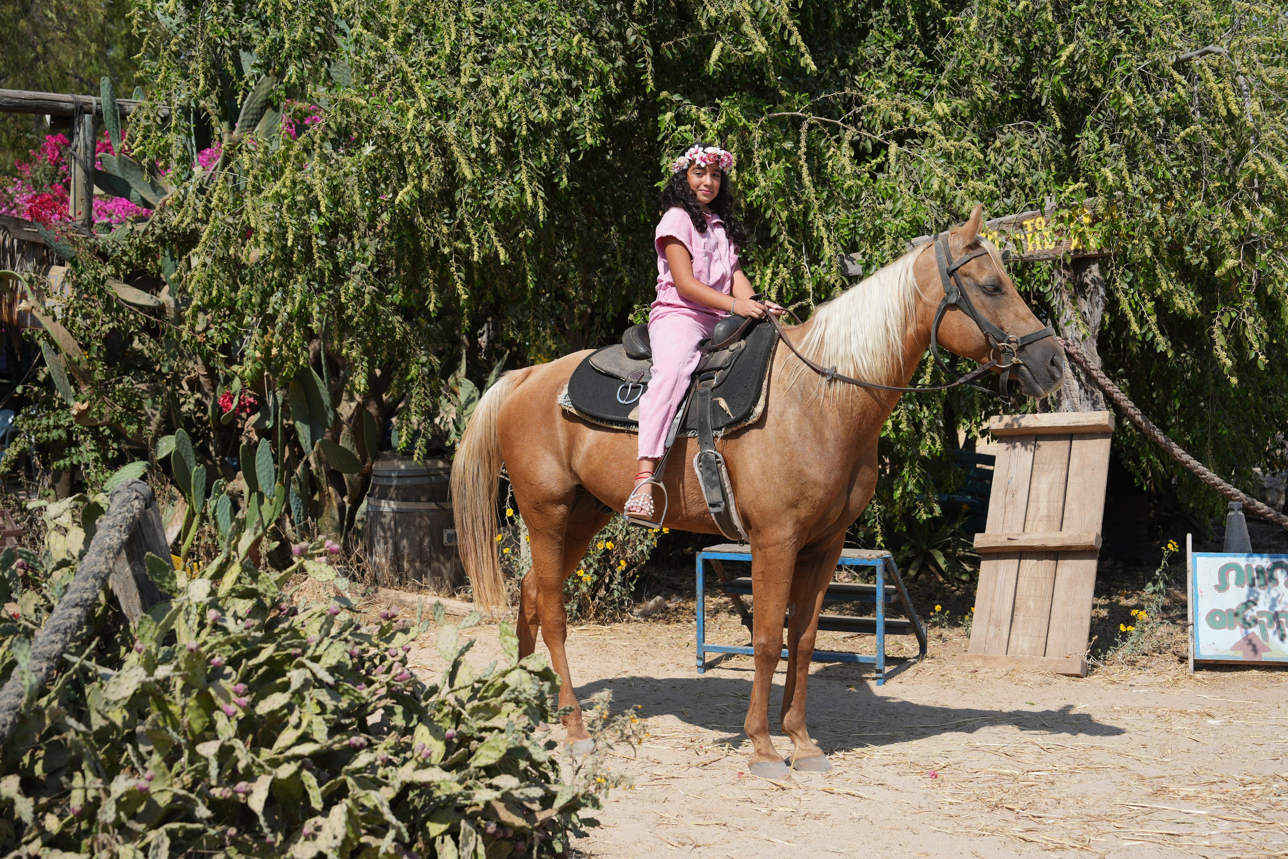 Gabriella. MDVD Фото-видео съемка мероприятий