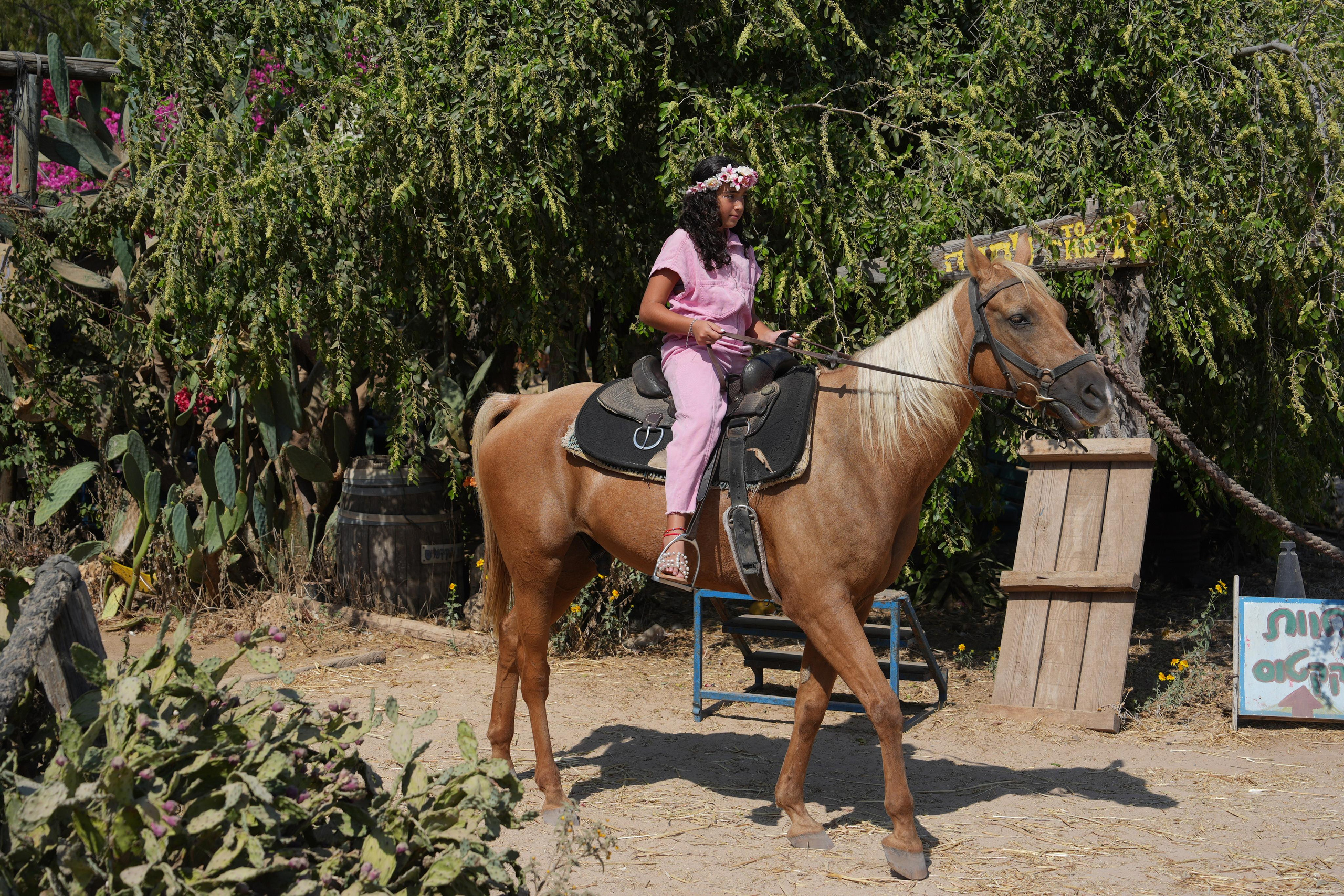 Gabriella. MDVD Фото-видео съемка мероприятий