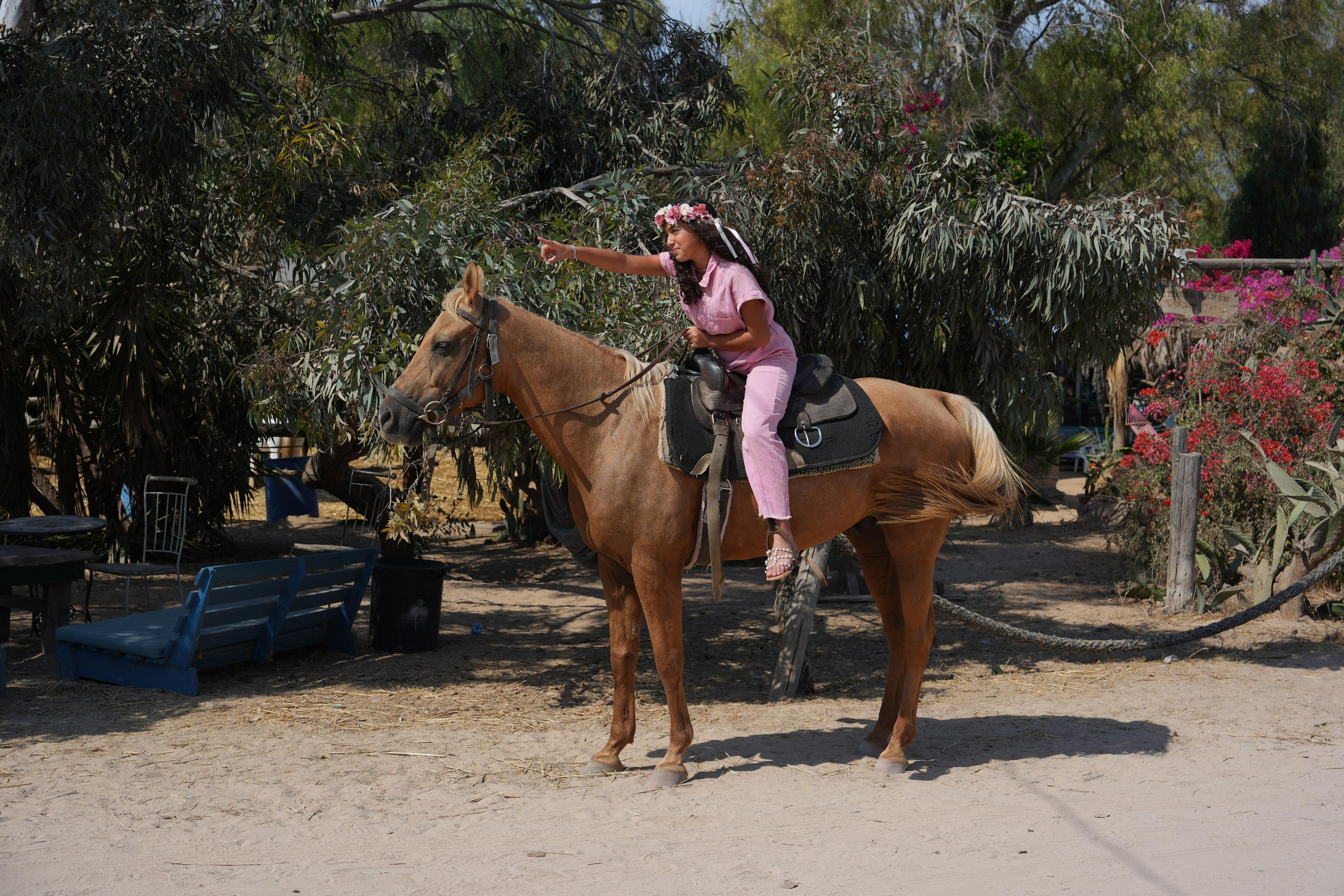 Gabriella. MDVD Фото-видео съемка мероприятий