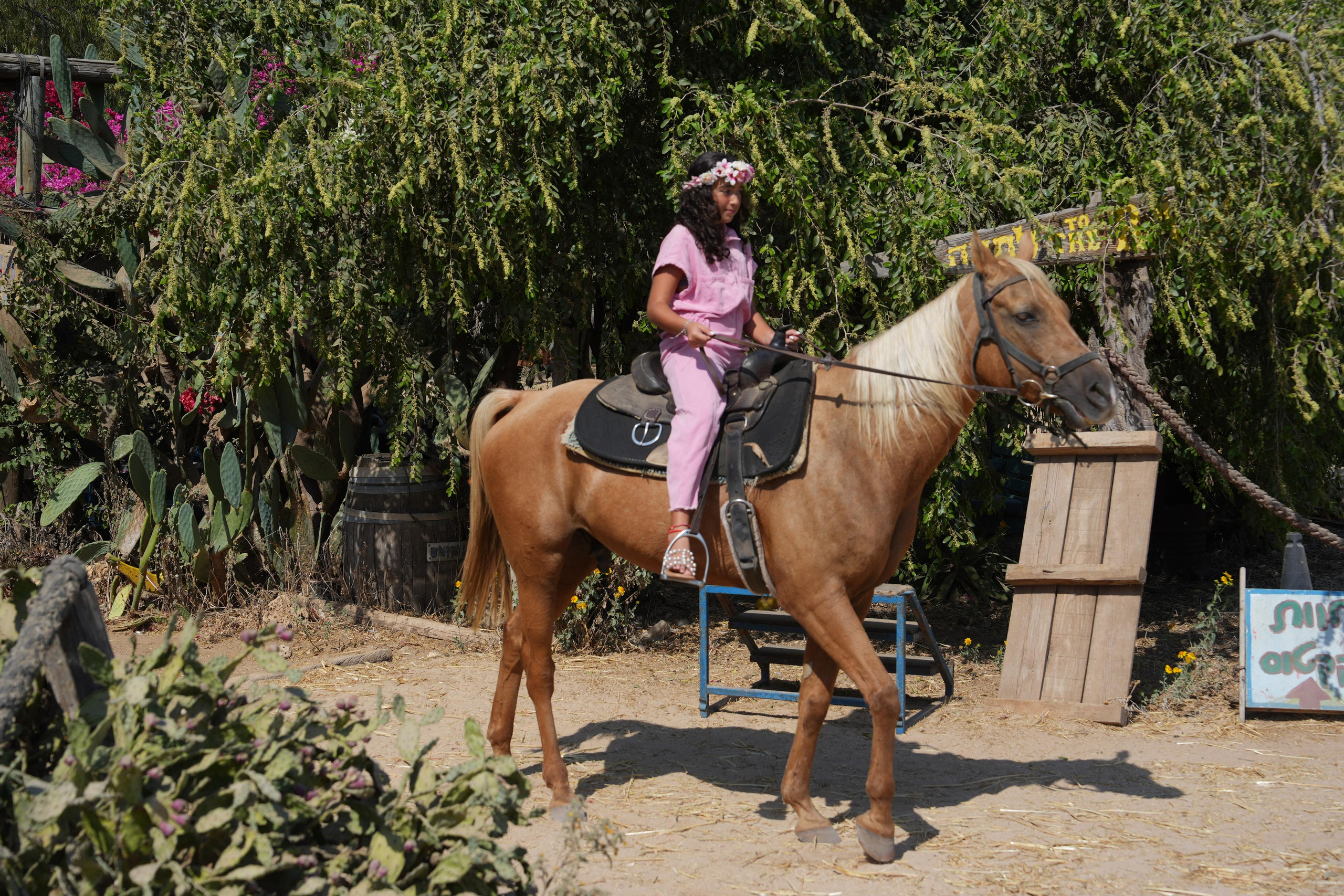 Gabriella. MDVD Фото-видео съемка мероприятий