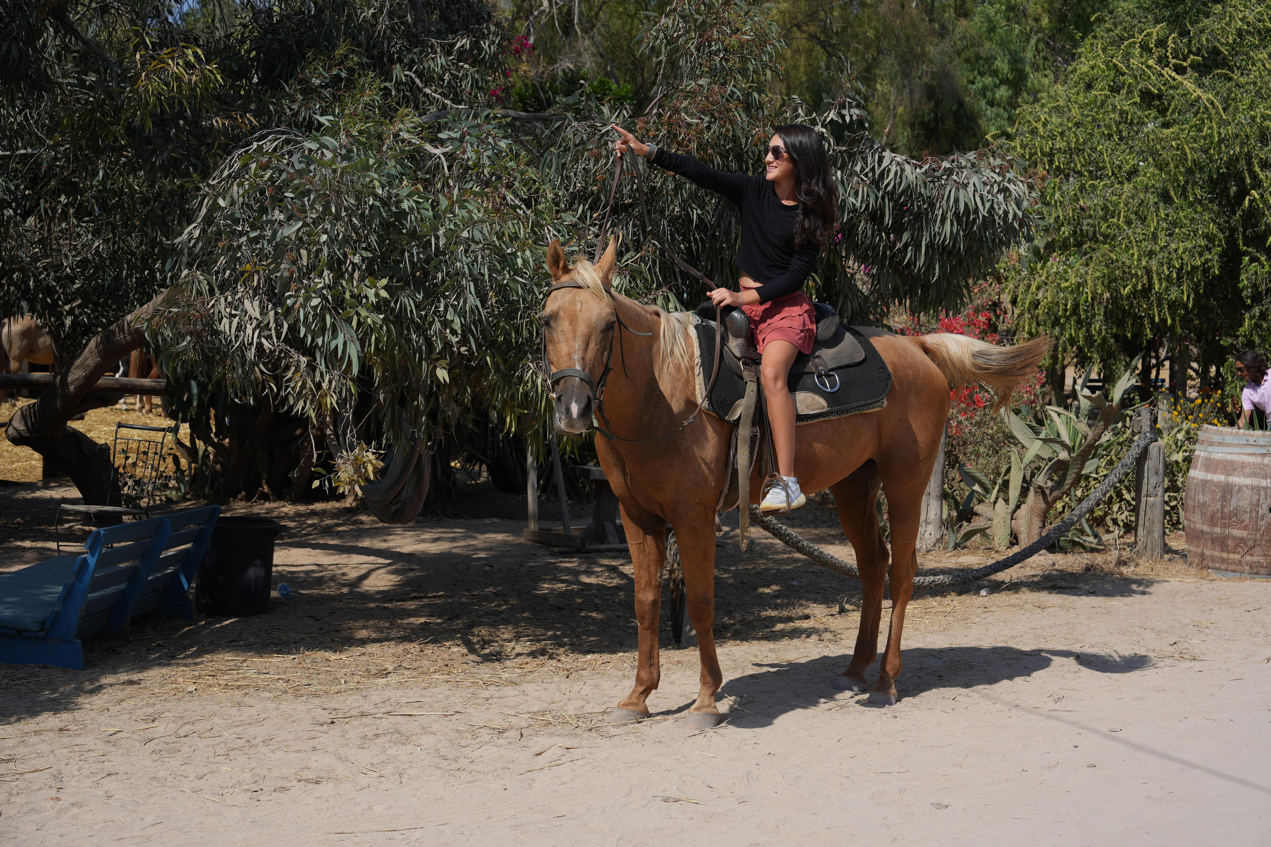 Gabriella. MDVD Фото-видео съемка мероприятий