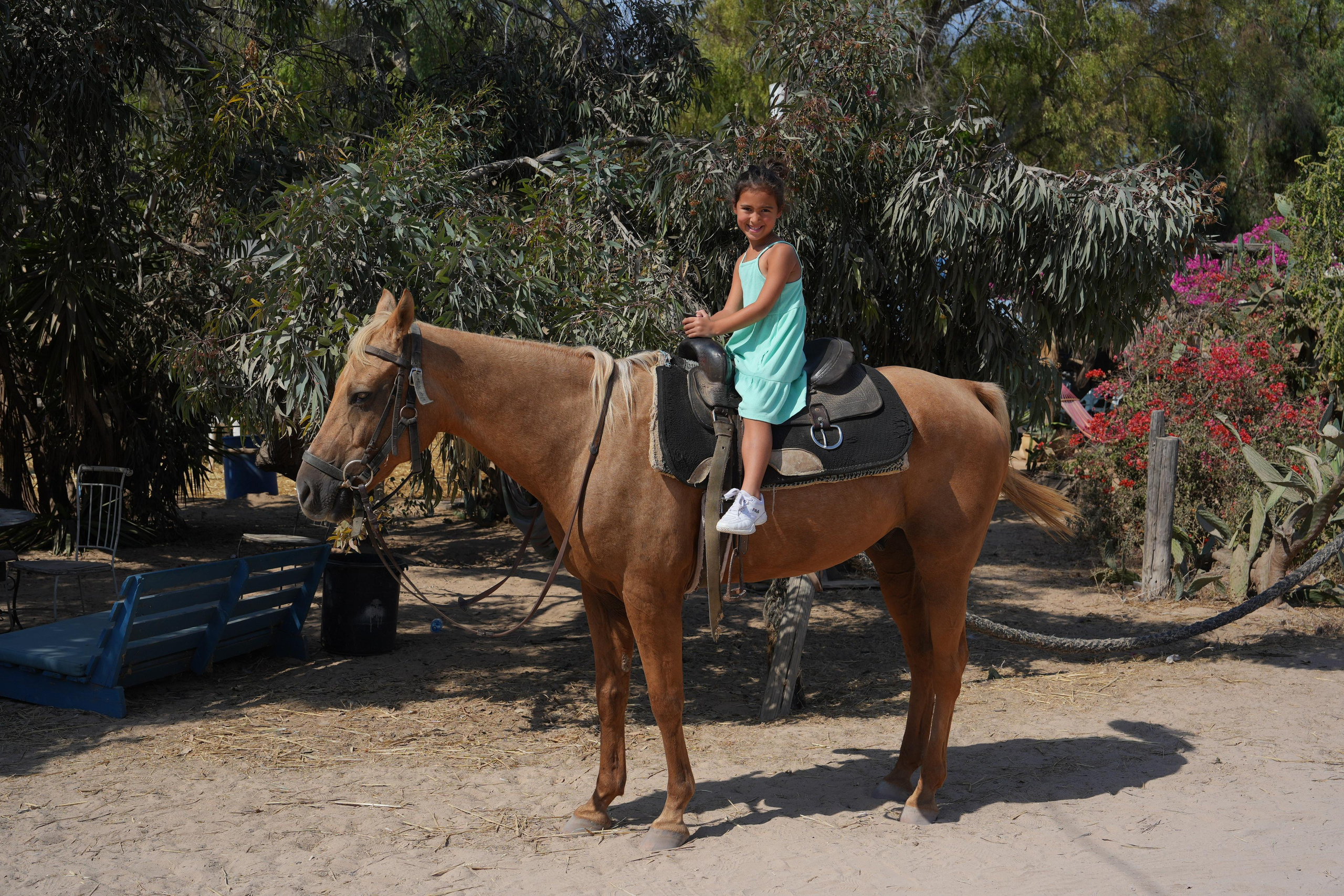 Gabriella. MDVD Фото-видео съемка мероприятий
