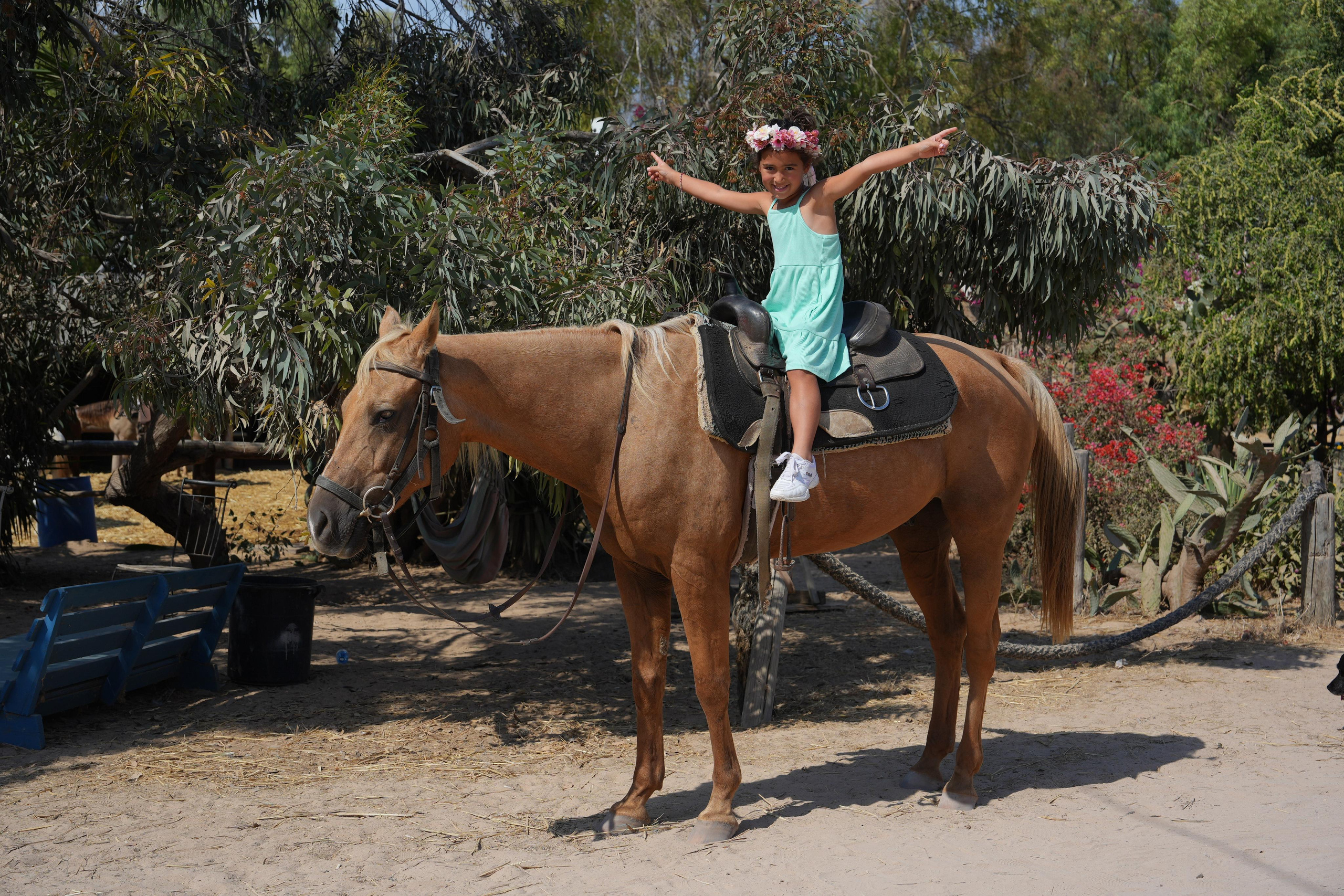 Gabriella. MDVD Фото-видео съемка мероприятий
