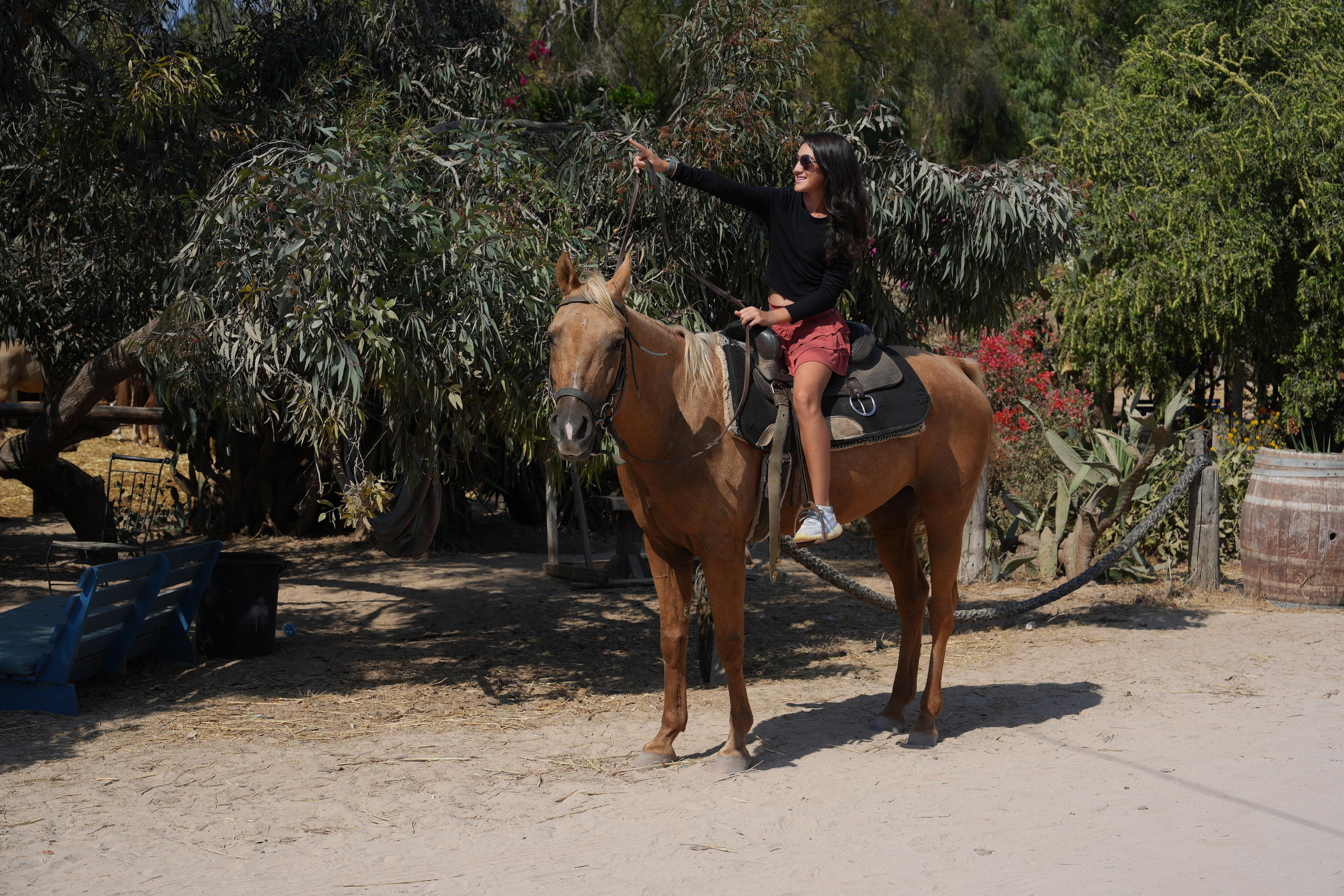 Gabriella. MDVD Фото-видео съемка мероприятий