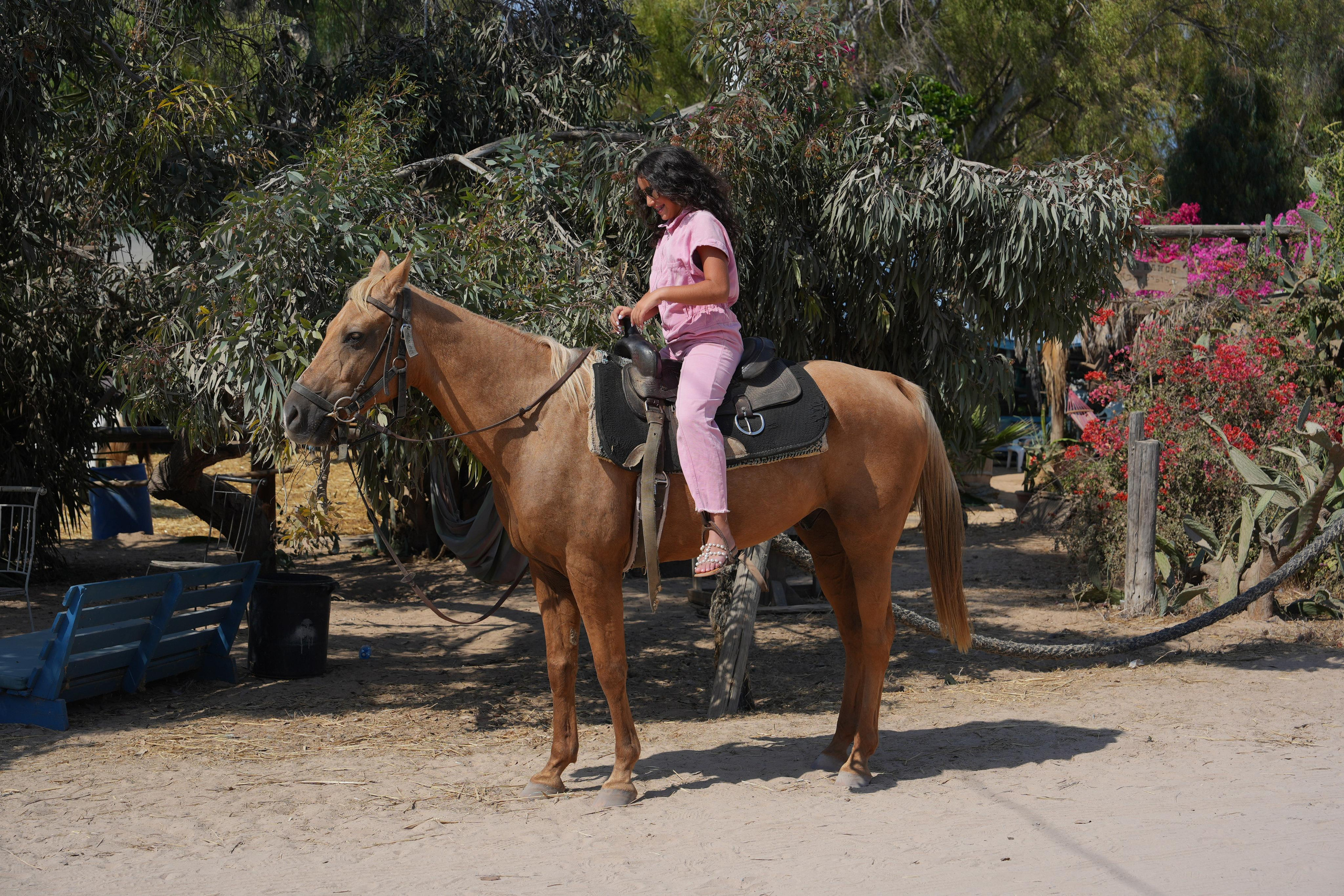 Gabriella. MDVD Фото-видео съемка мероприятий