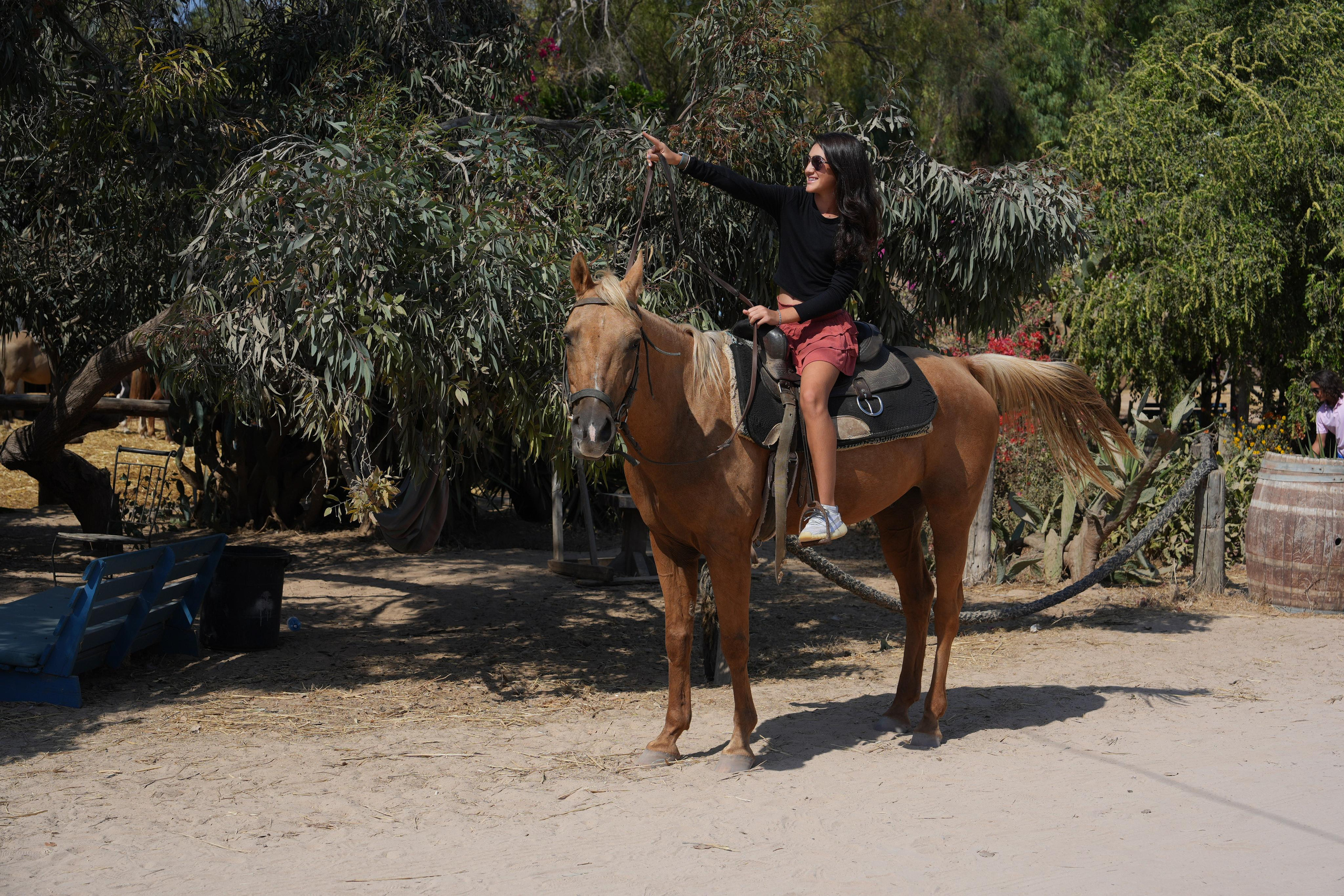 Gabriella. MDVD Фото-видео съемка мероприятий