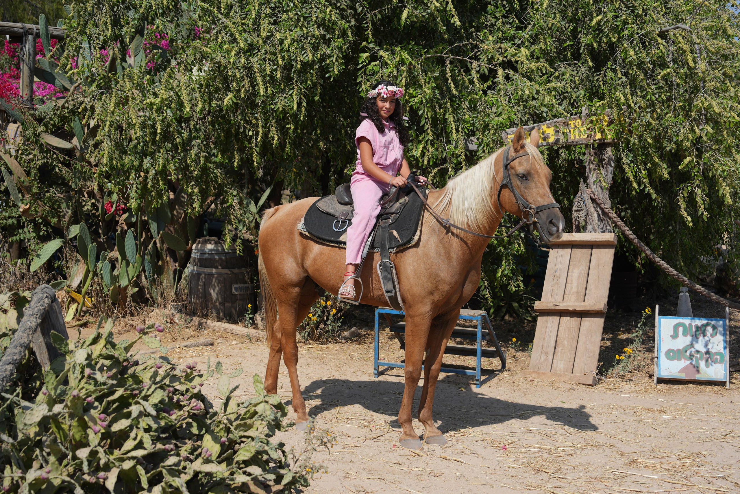 Gabriella. MDVD Фото-видео съемка мероприятий