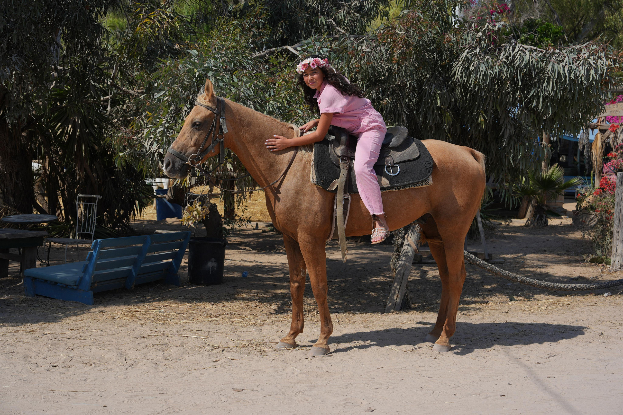 Gabriella. MDVD Фото-видео съемка мероприятий