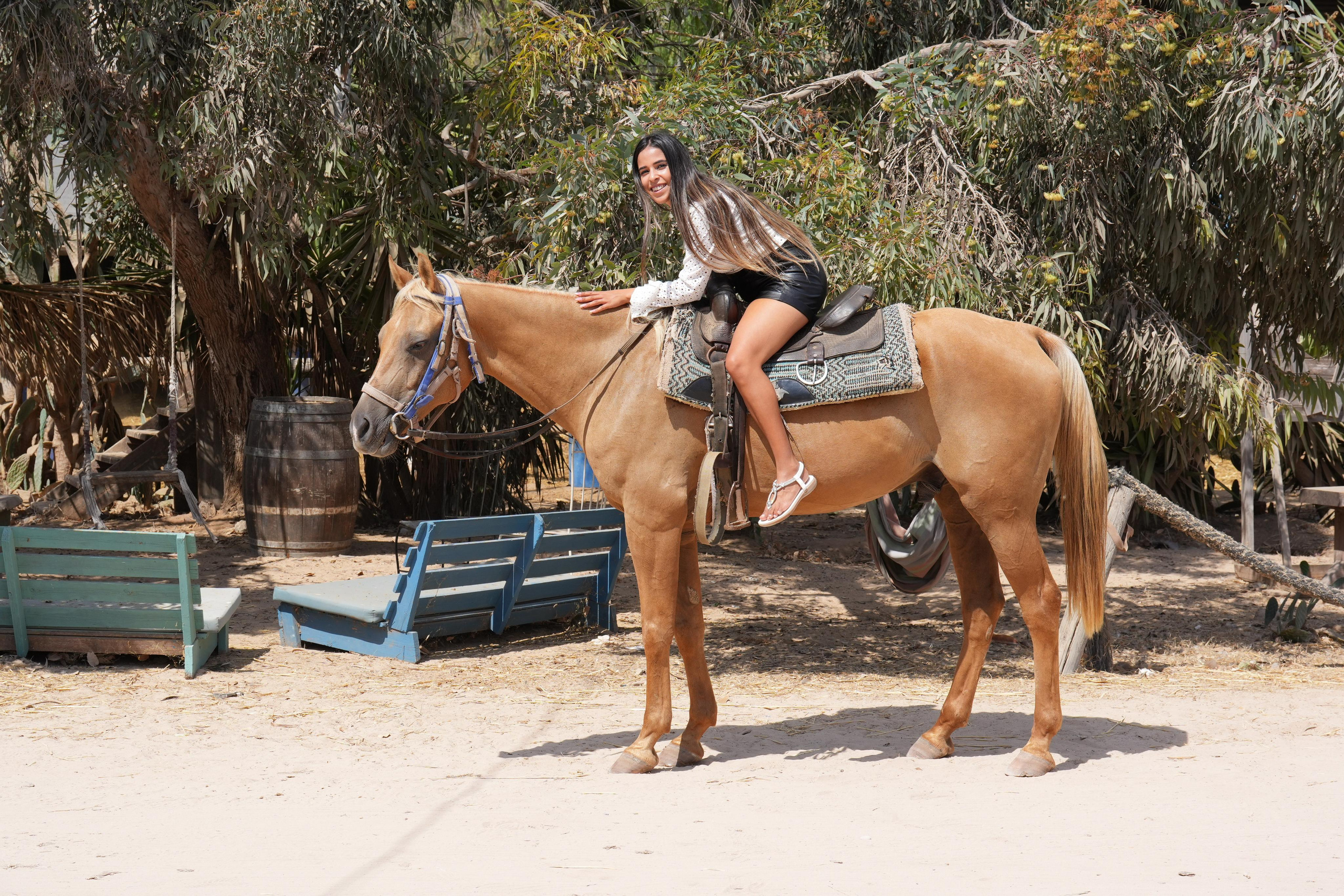 14.11.2022. MDVD Events photographysv in israel