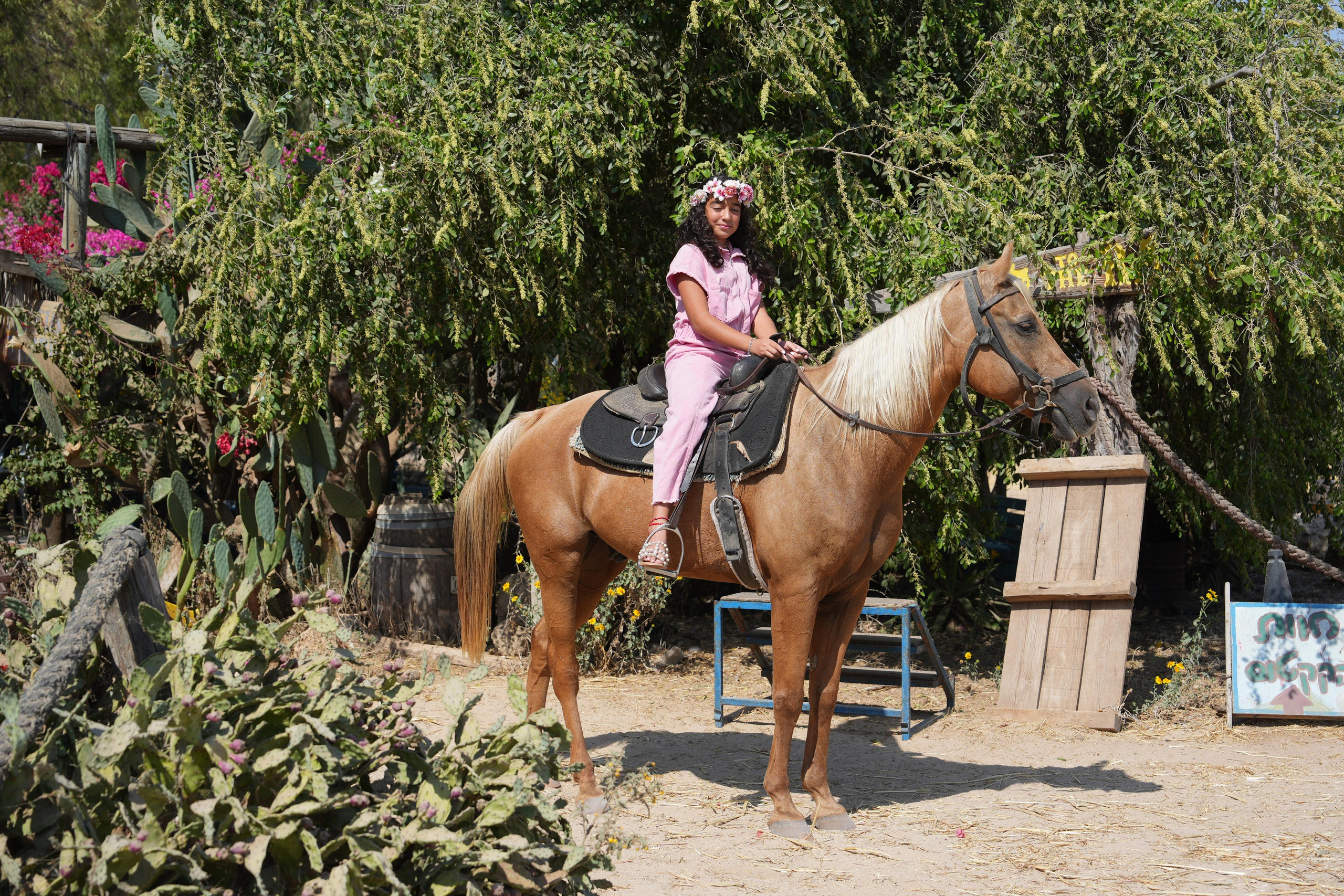 Gabriella. MDVD Фото-видео съемка мероприятий