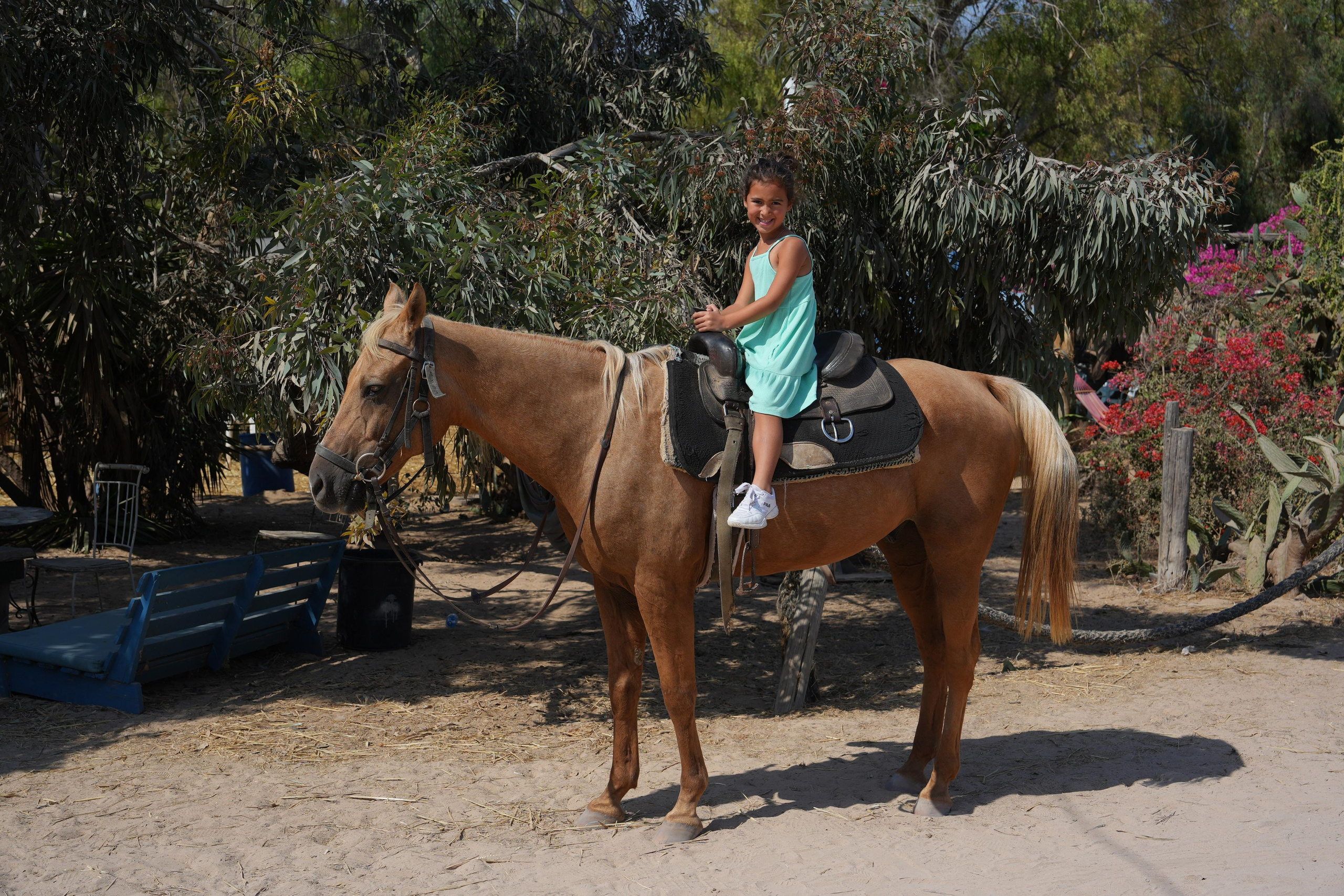 Gabriella. MDVD Фото-видео съемка мероприятий