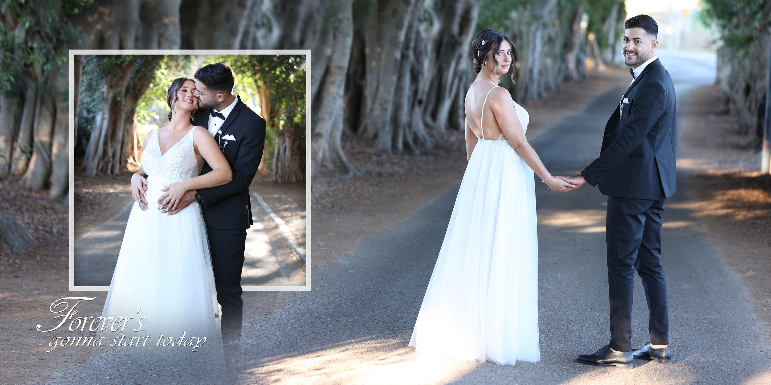 חתונה. צילום אירועים MDVD