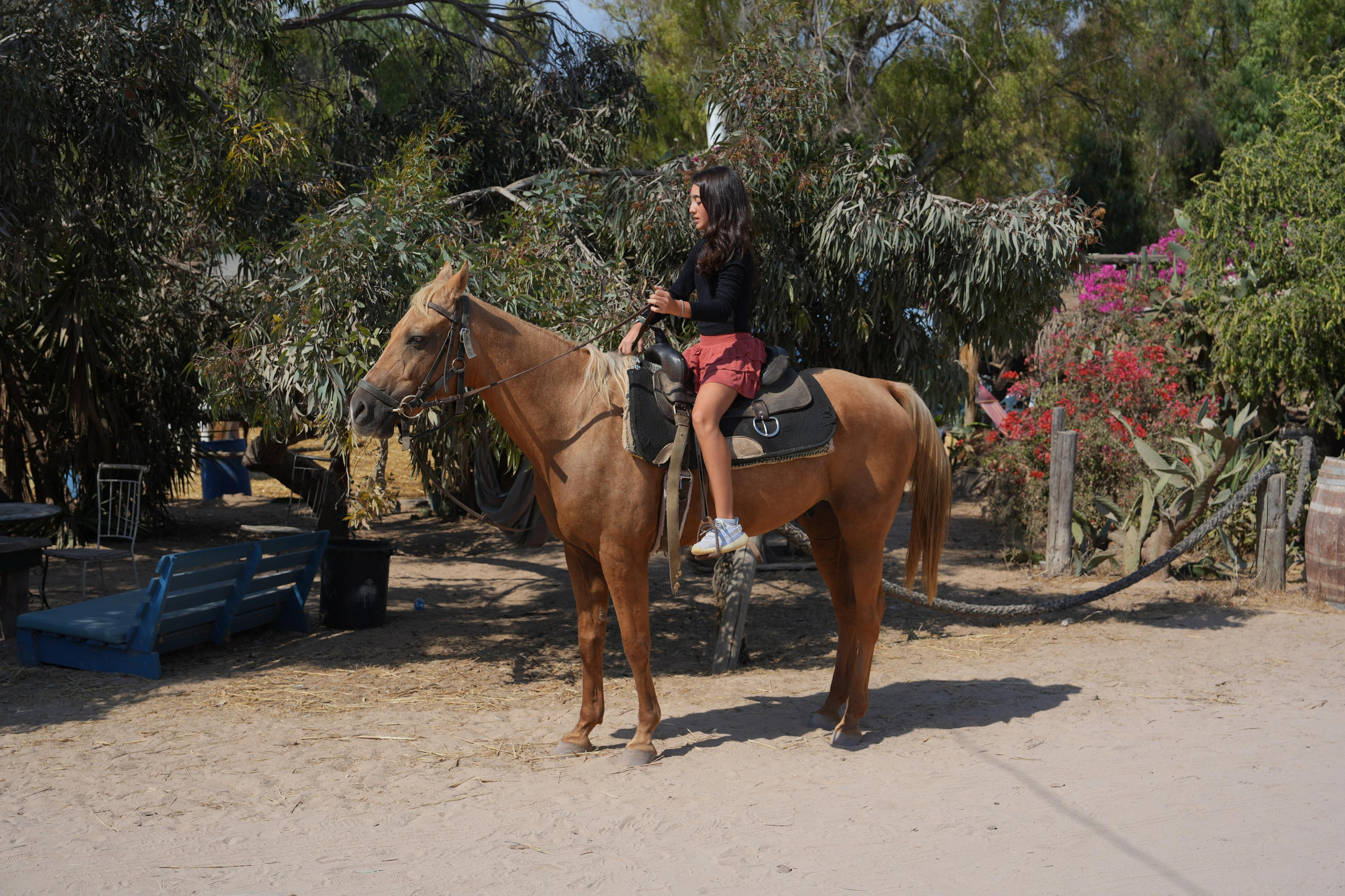 Gabriella. MDVD Фото-видео съемка мероприятий