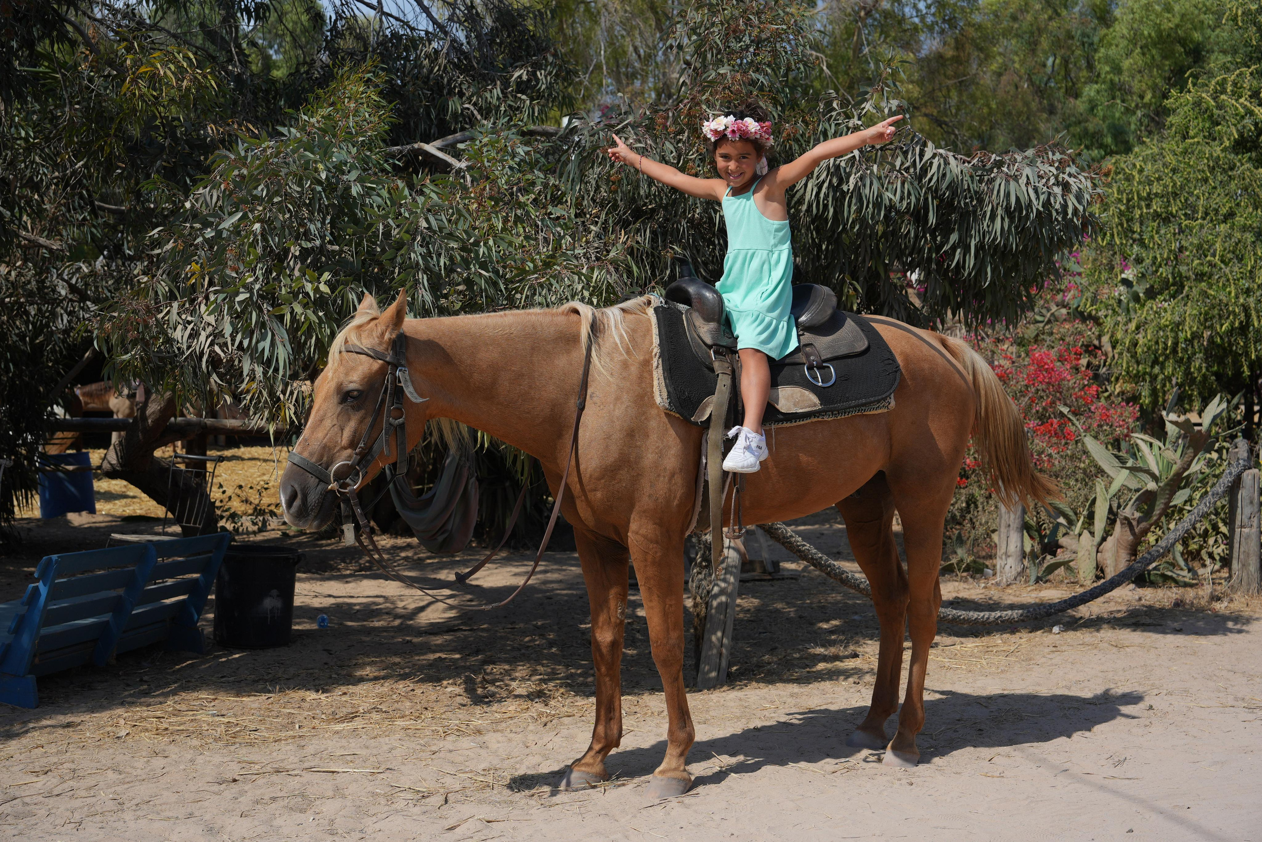 Gabriella. MDVD Фото-видео съемка мероприятий