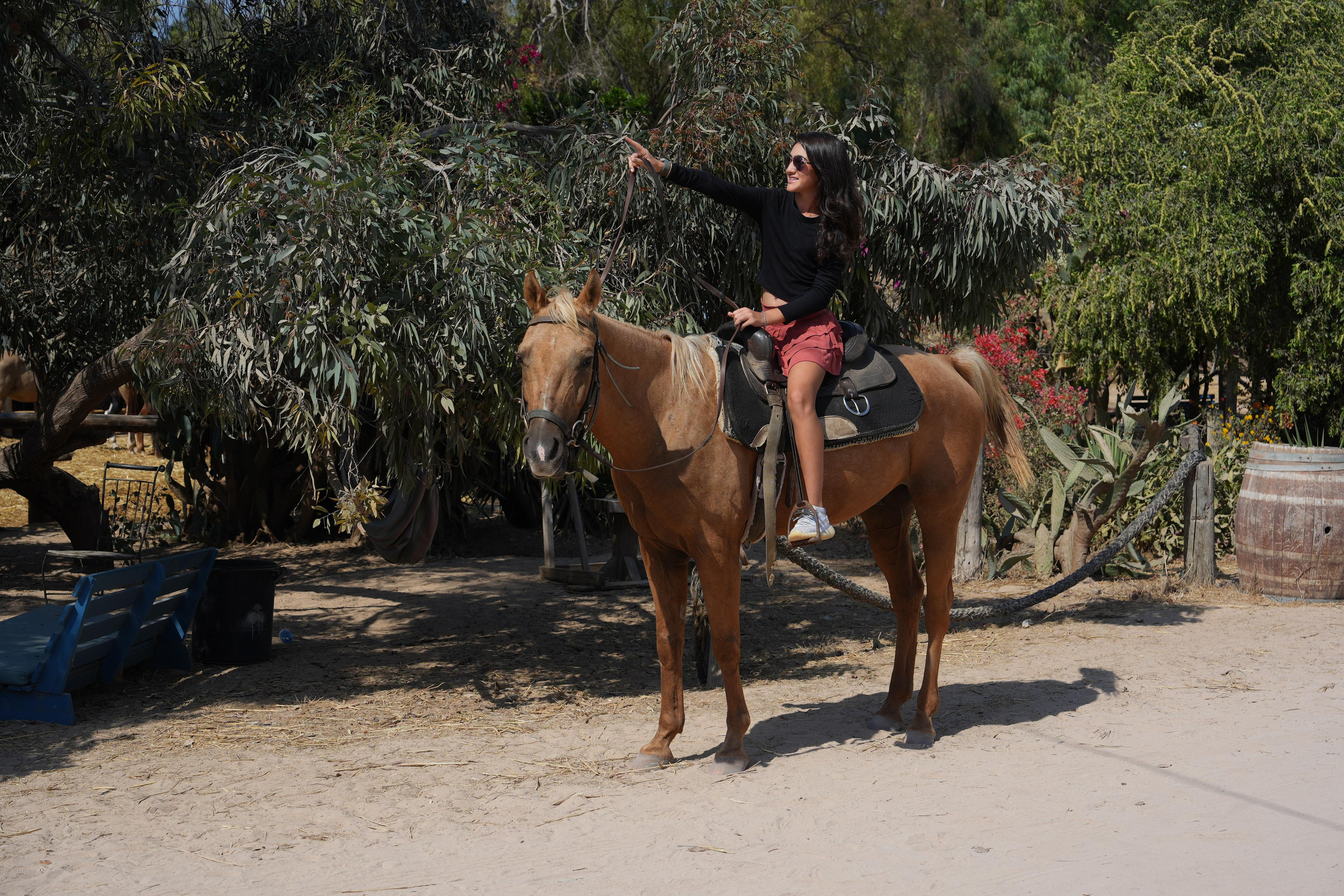 Gabriella. MDVD Фото-видео съемка мероприятий