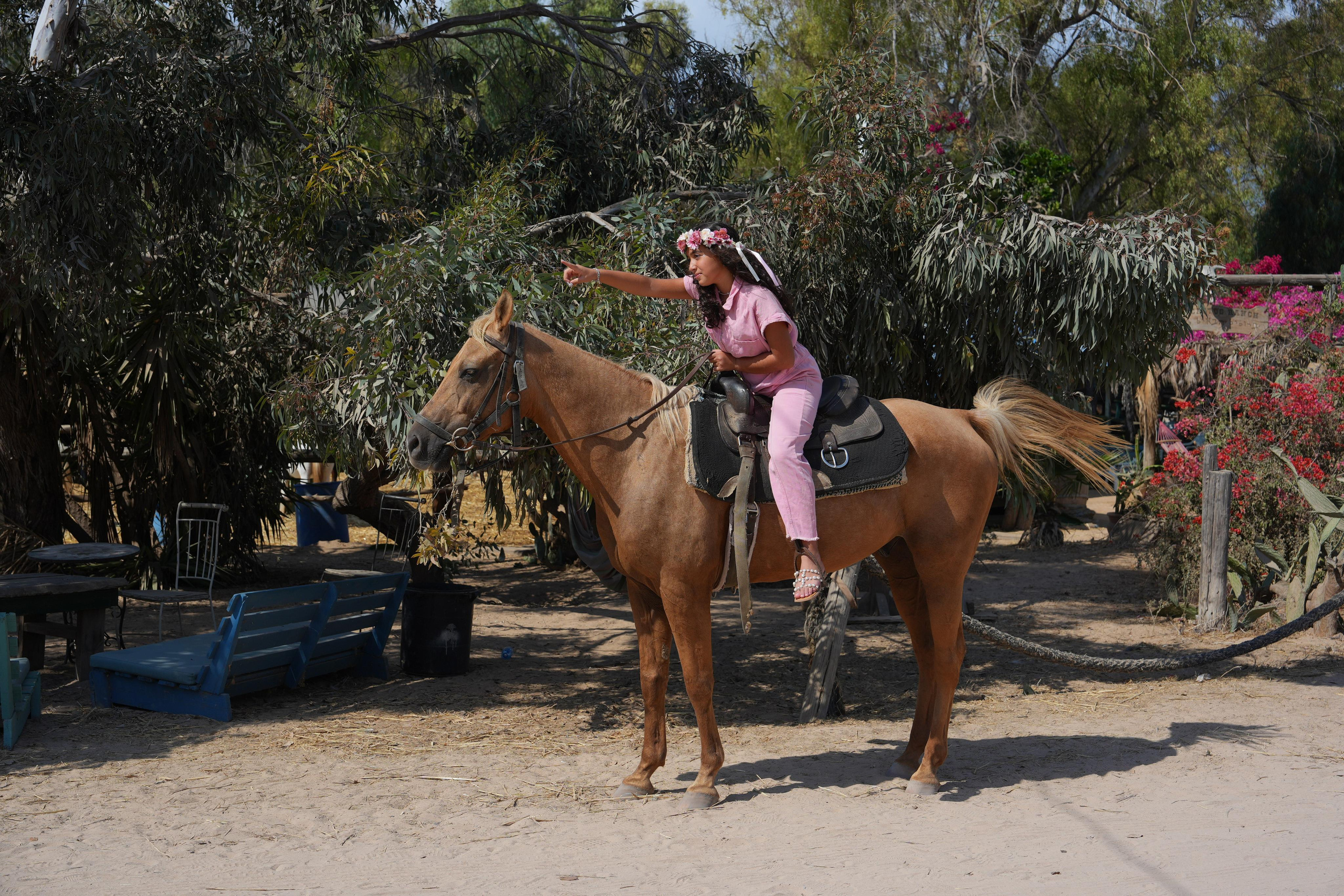 Gabriella. MDVD Фото-видео съемка мероприятий
