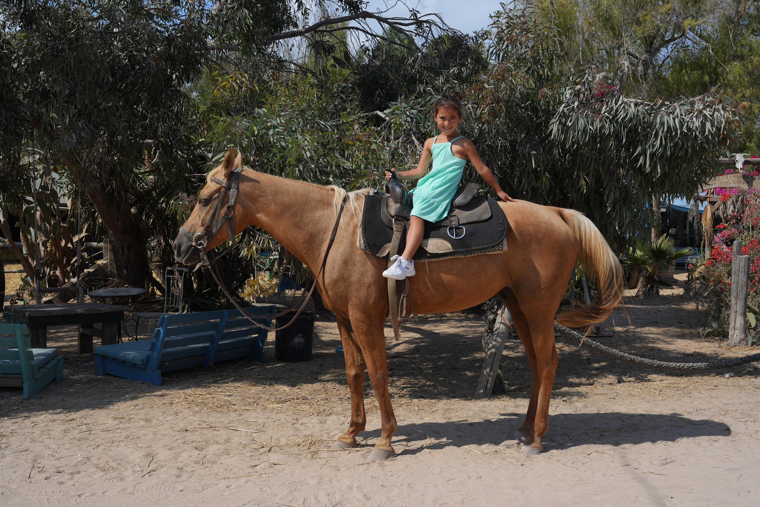 Gabriella. MDVD Фото-видео съемка мероприятий