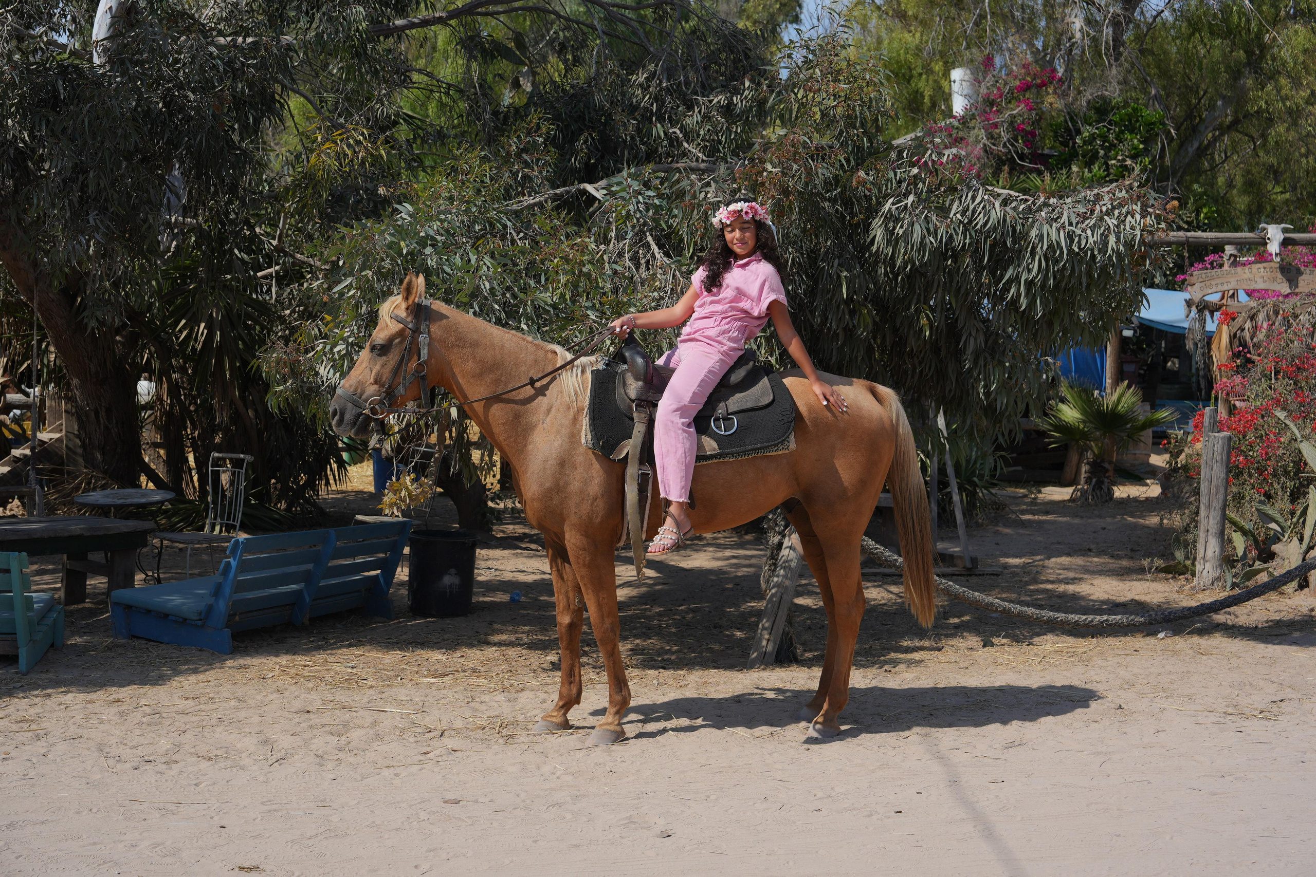 Gabriella. MDVD Фото-видео съемка мероприятий