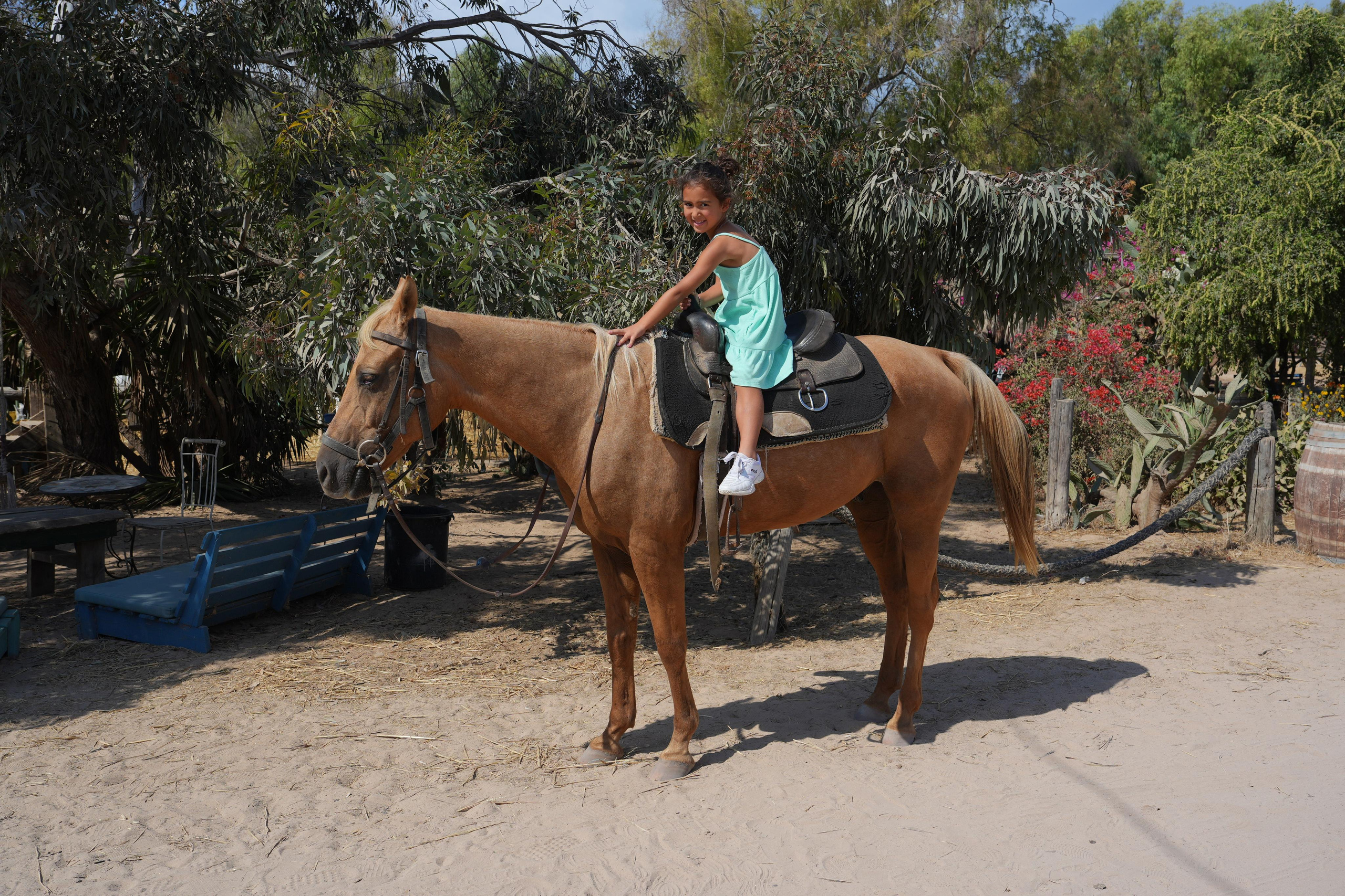 Gabriella. MDVD Фото-видео съемка мероприятий