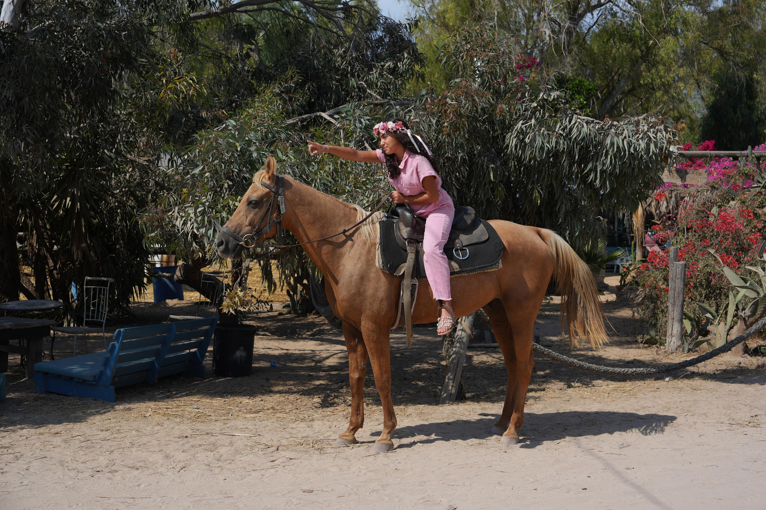 Gabriella. MDVD Фото-видео съемка мероприятий