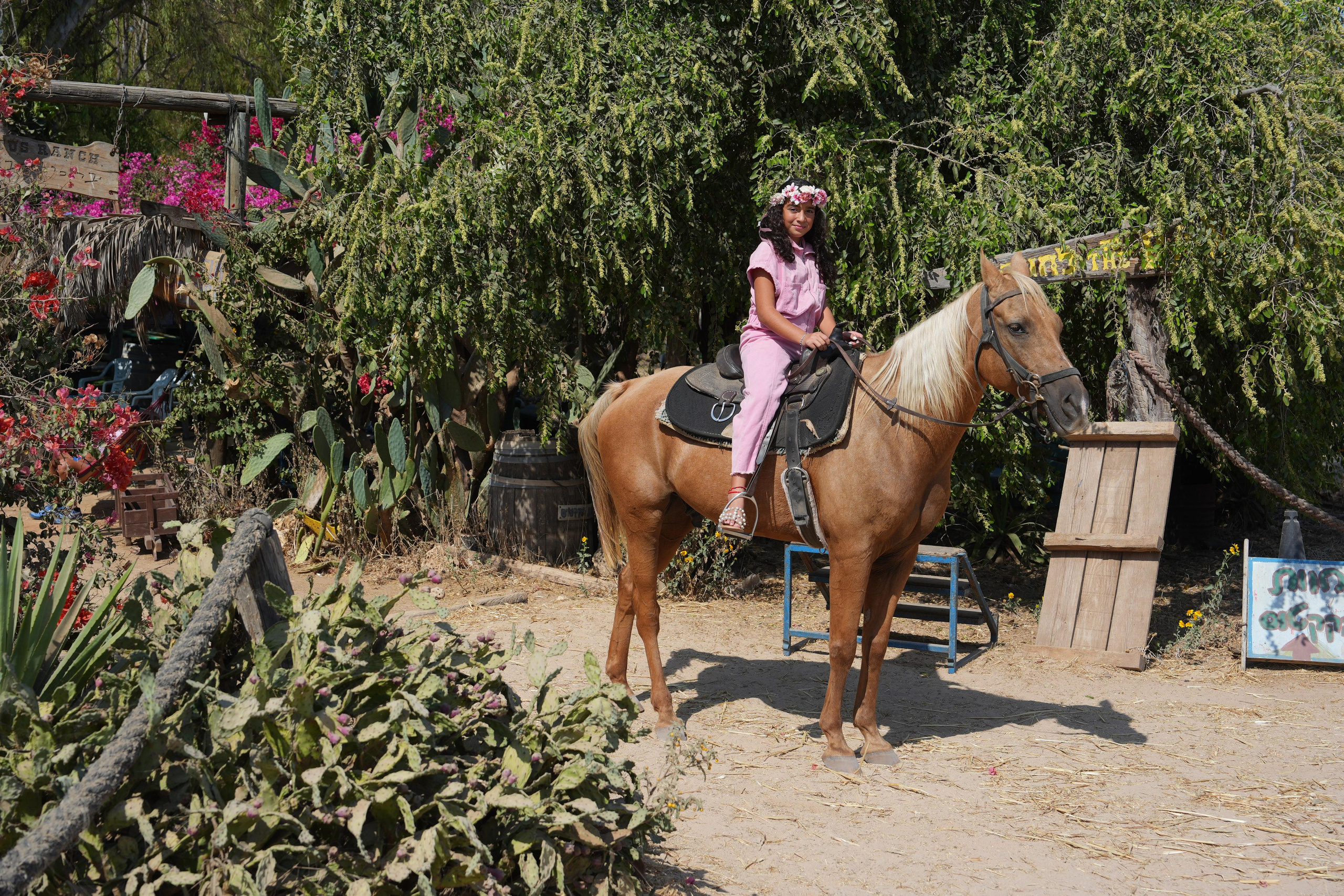 Gabriella. MDVD Фото-видео съемка мероприятий