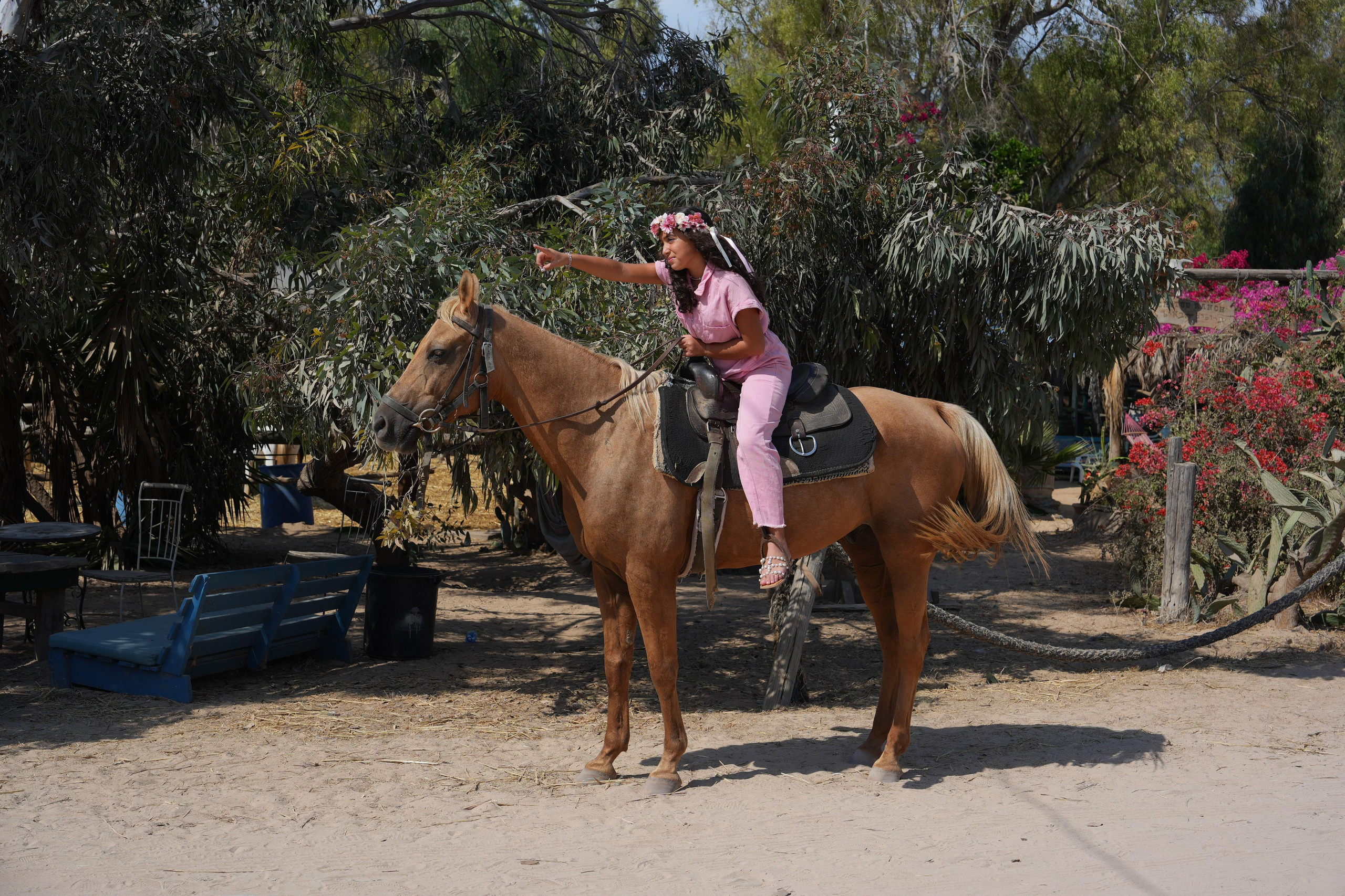 Gabriella. MDVD Фото-видео съемка мероприятий