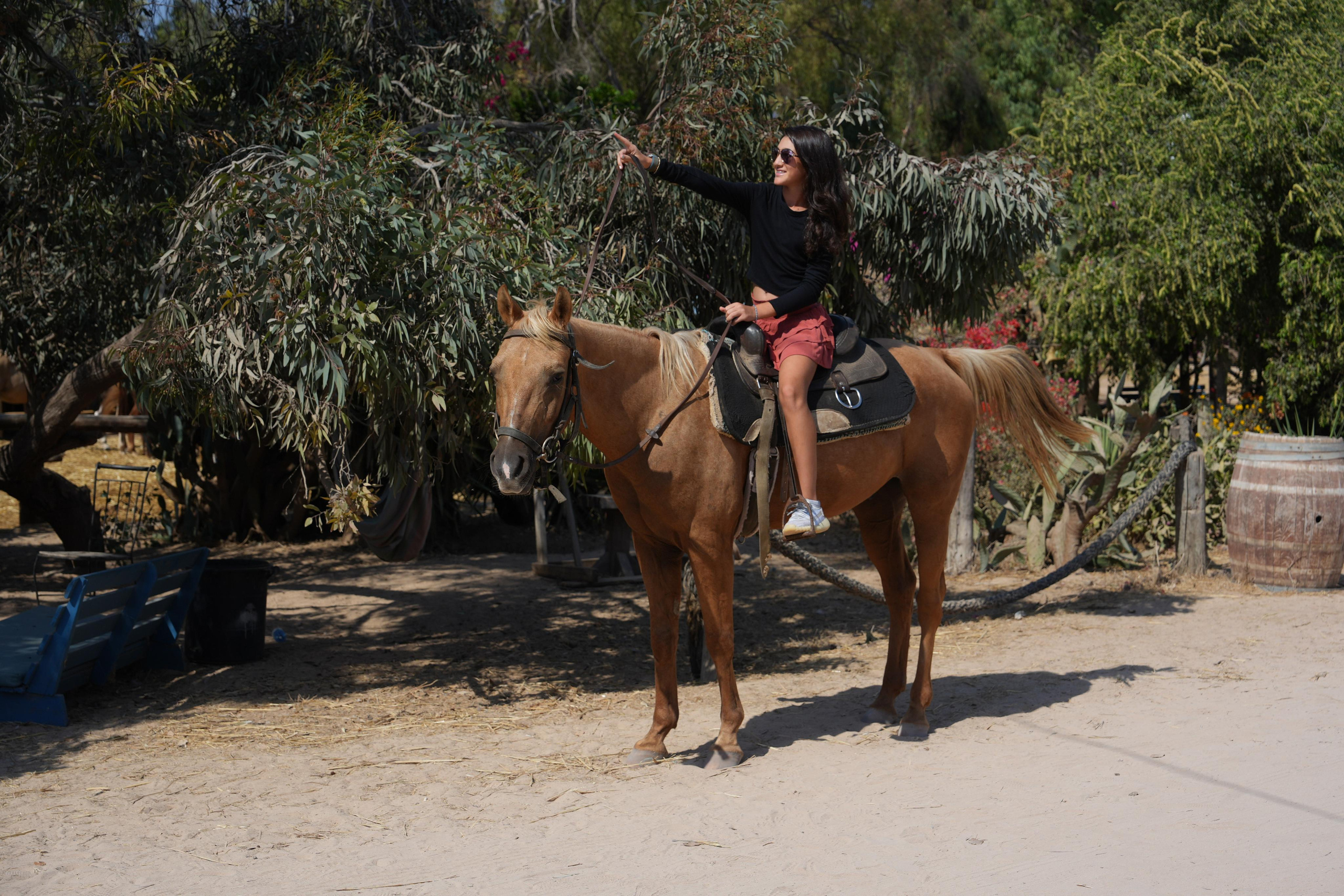 Gabriella. MDVD Фото-видео съемка мероприятий