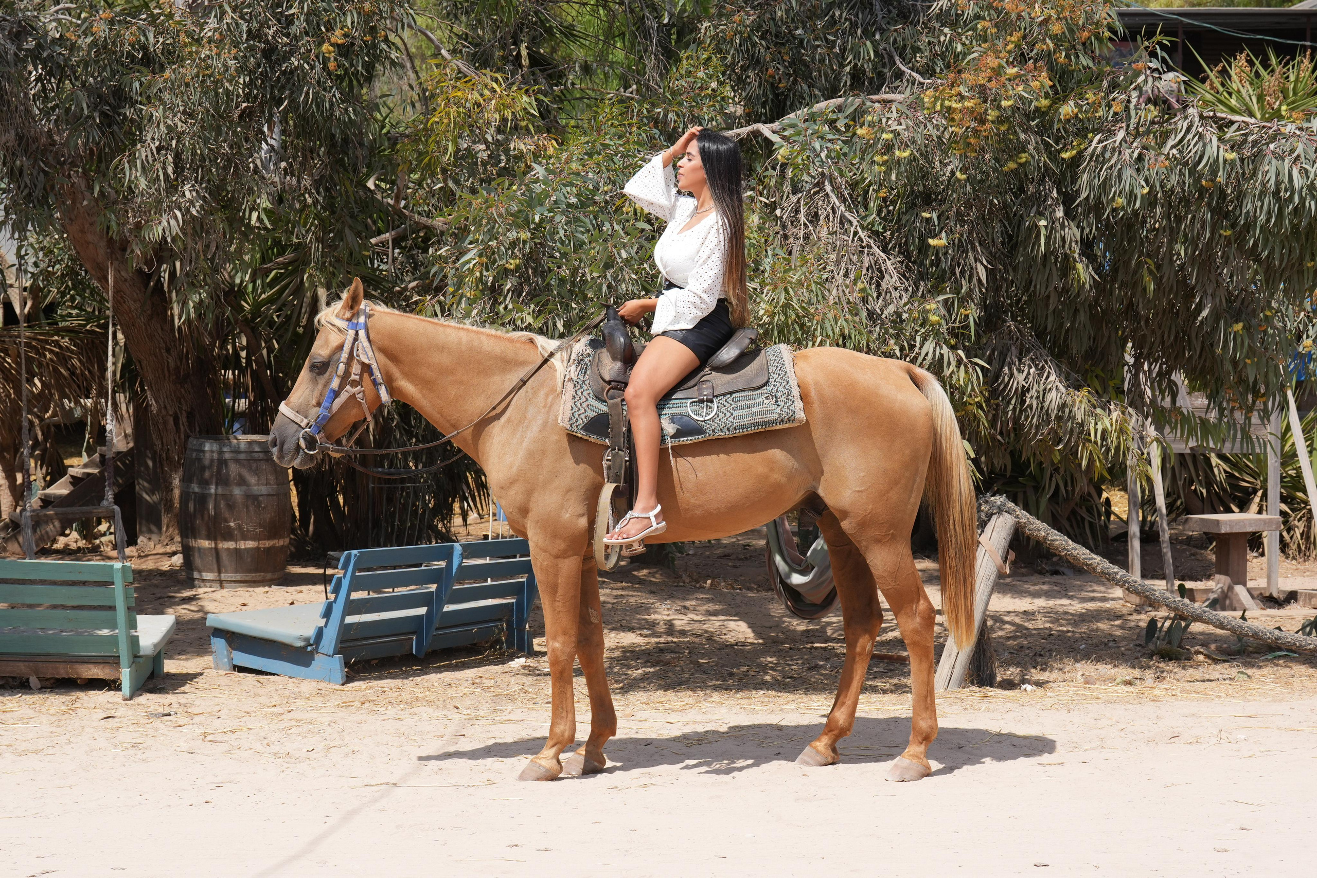 14.11.2022. MDVD Events photographysv in israel