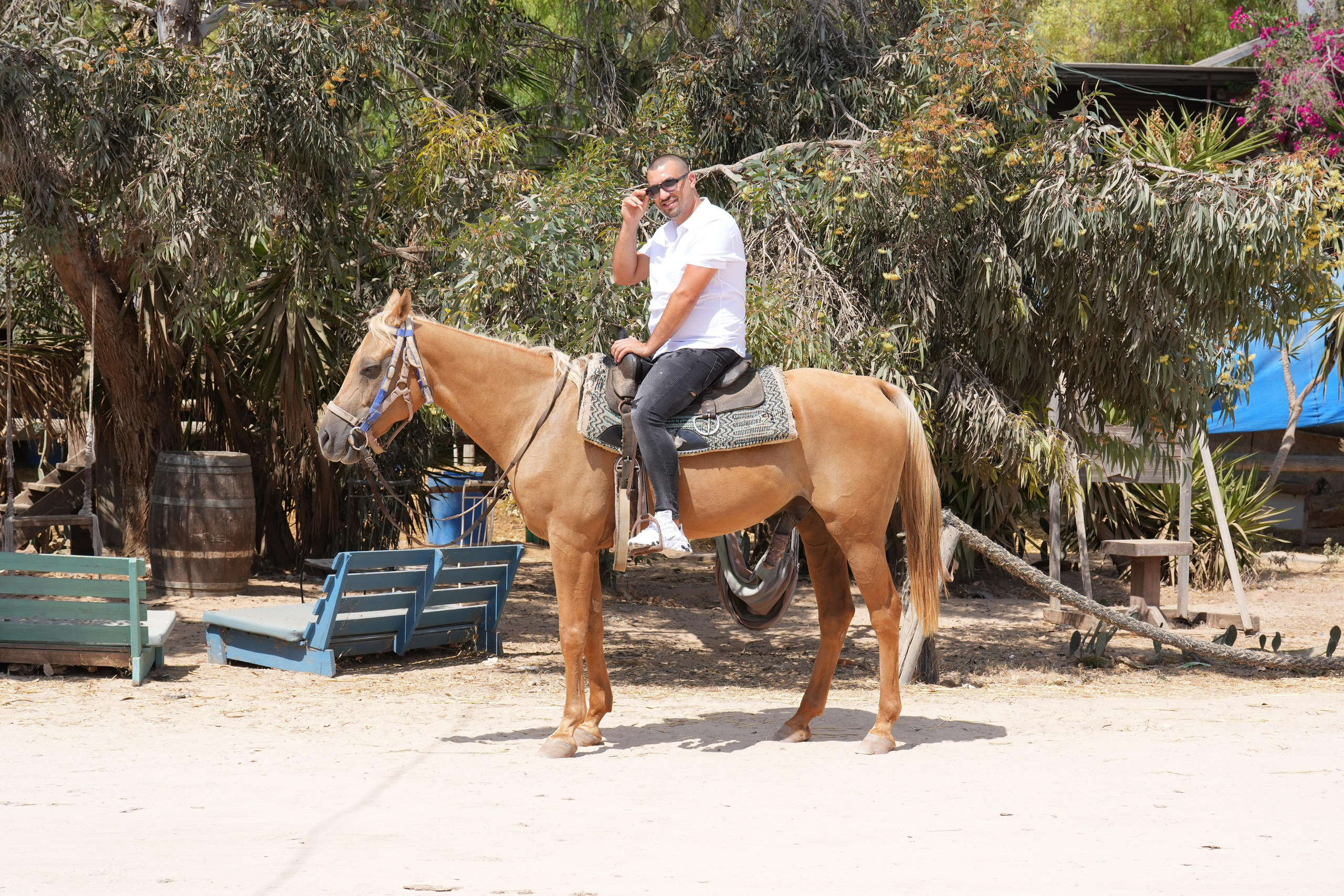 14.11.2022. MDVD Events photographysv in israel