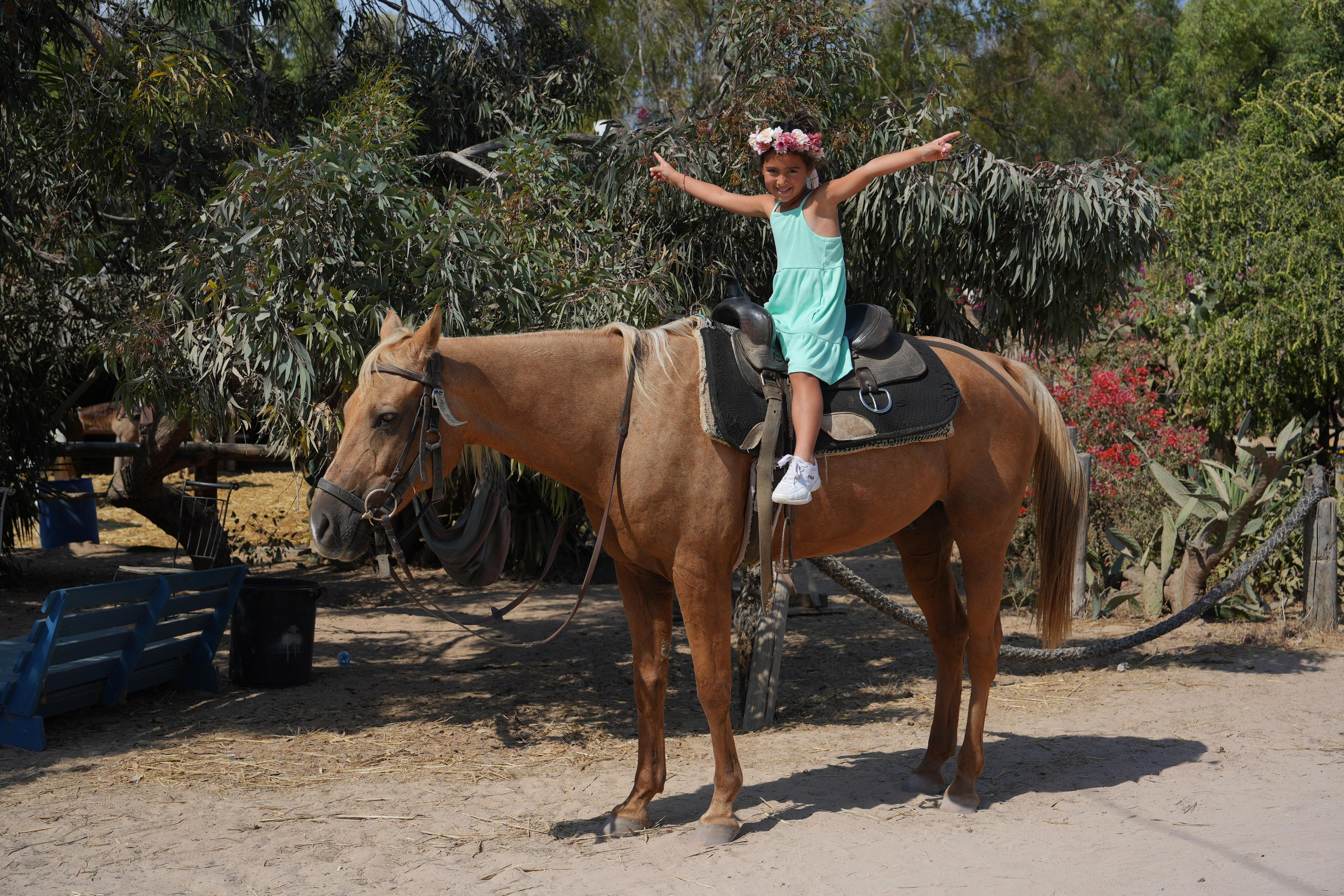 Gabriella. MDVD Фото-видео съемка мероприятий