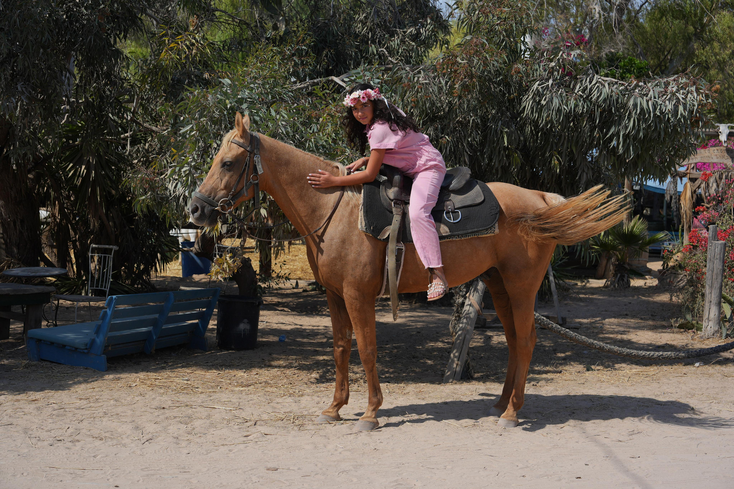 Gabriella. MDVD Фото-видео съемка мероприятий