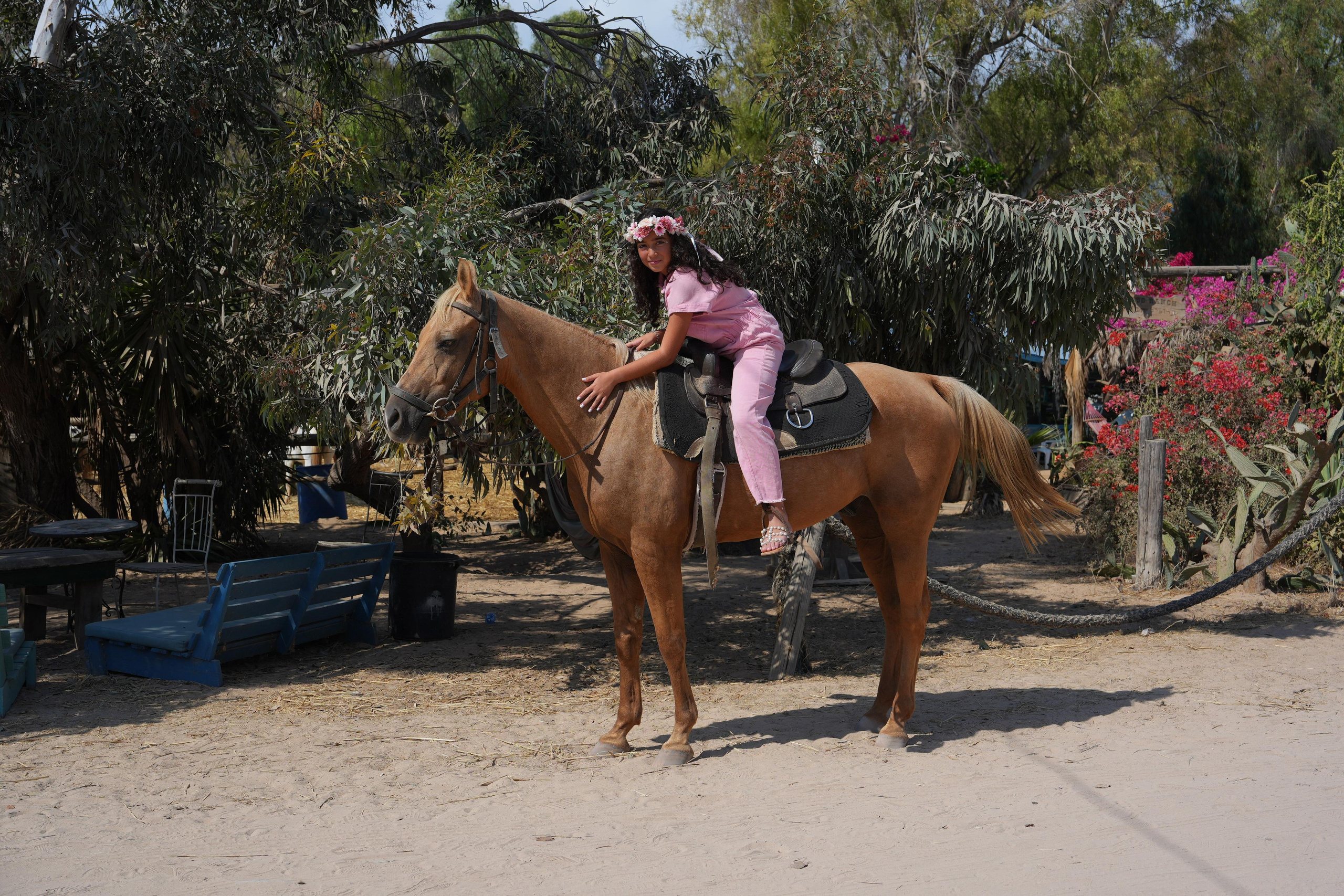 Gabriella. MDVD Фото-видео съемка мероприятий