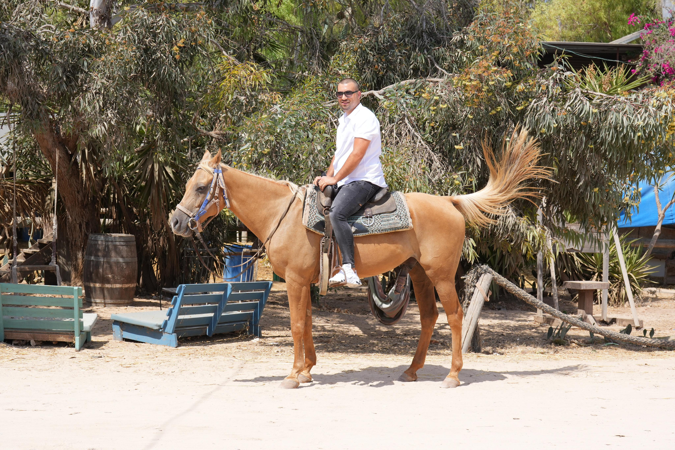 14.11.2022. MDVD Events photographysv in israel