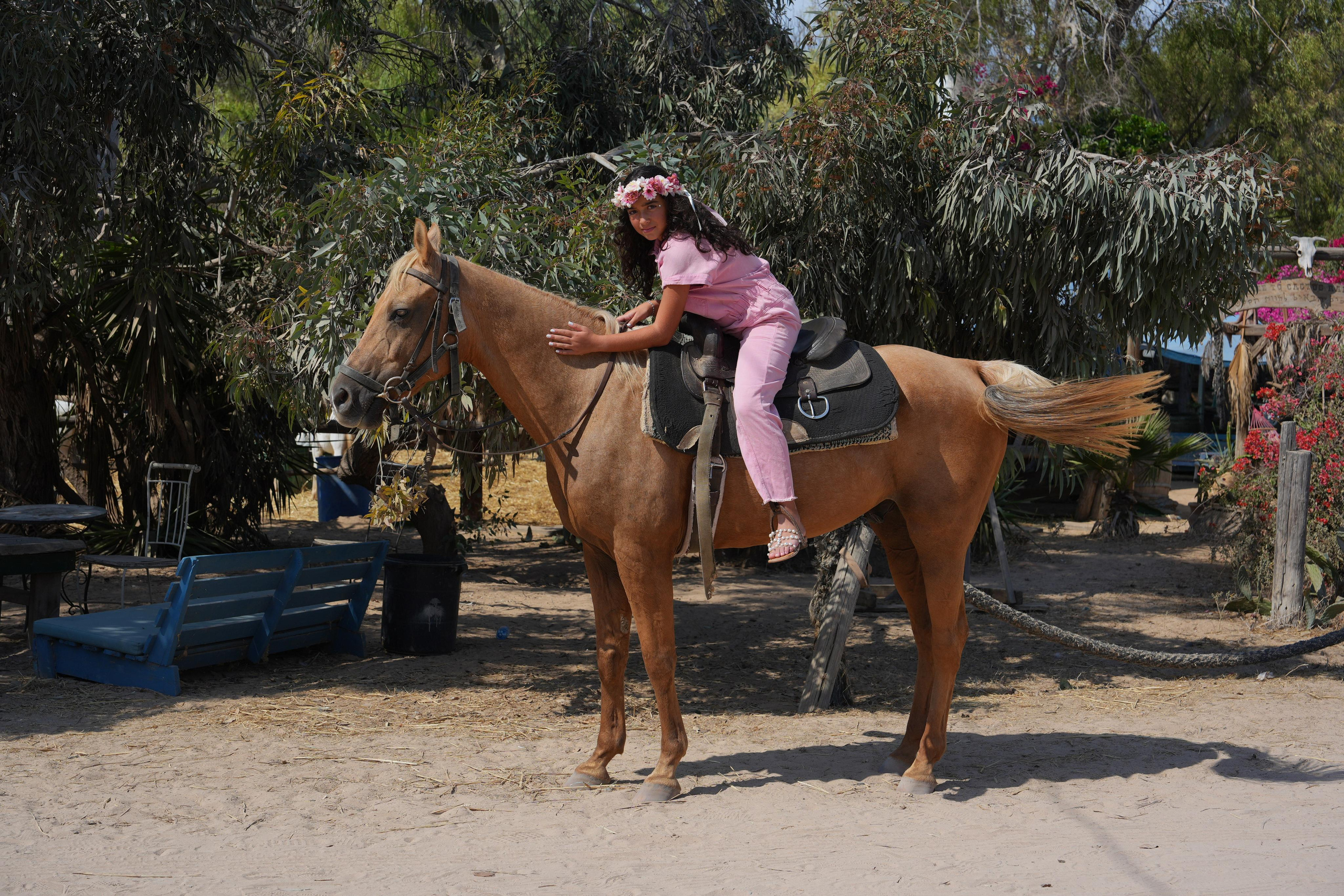 Gabriella. MDVD Фото-видео съемка мероприятий
