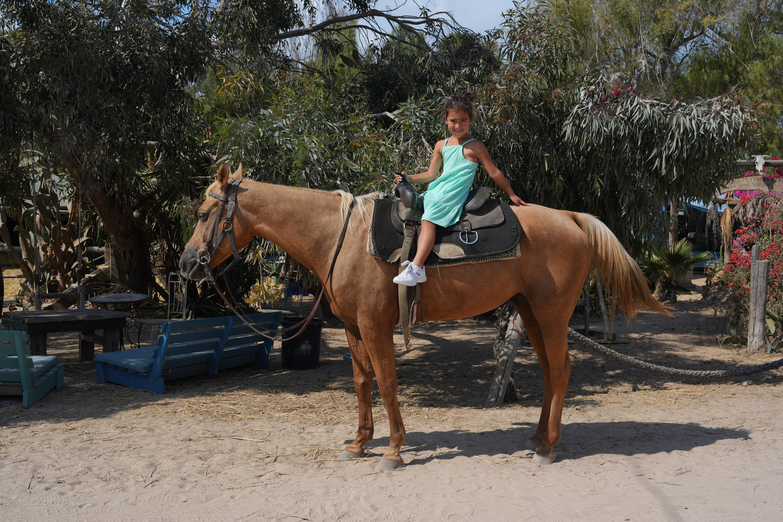 Gabriella. MDVD Фото-видео съемка мероприятий