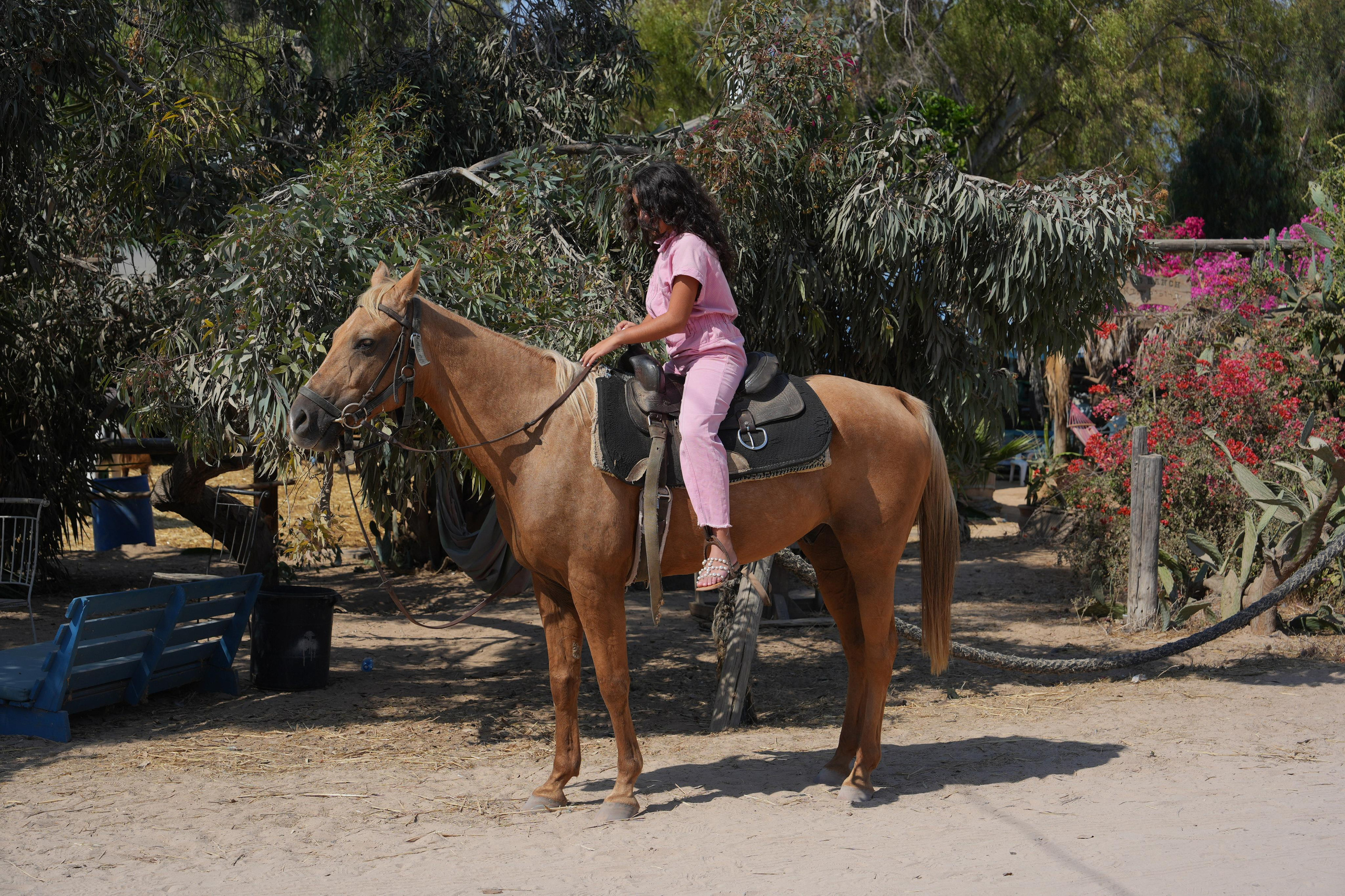 Gabriella. MDVD Фото-видео съемка мероприятий