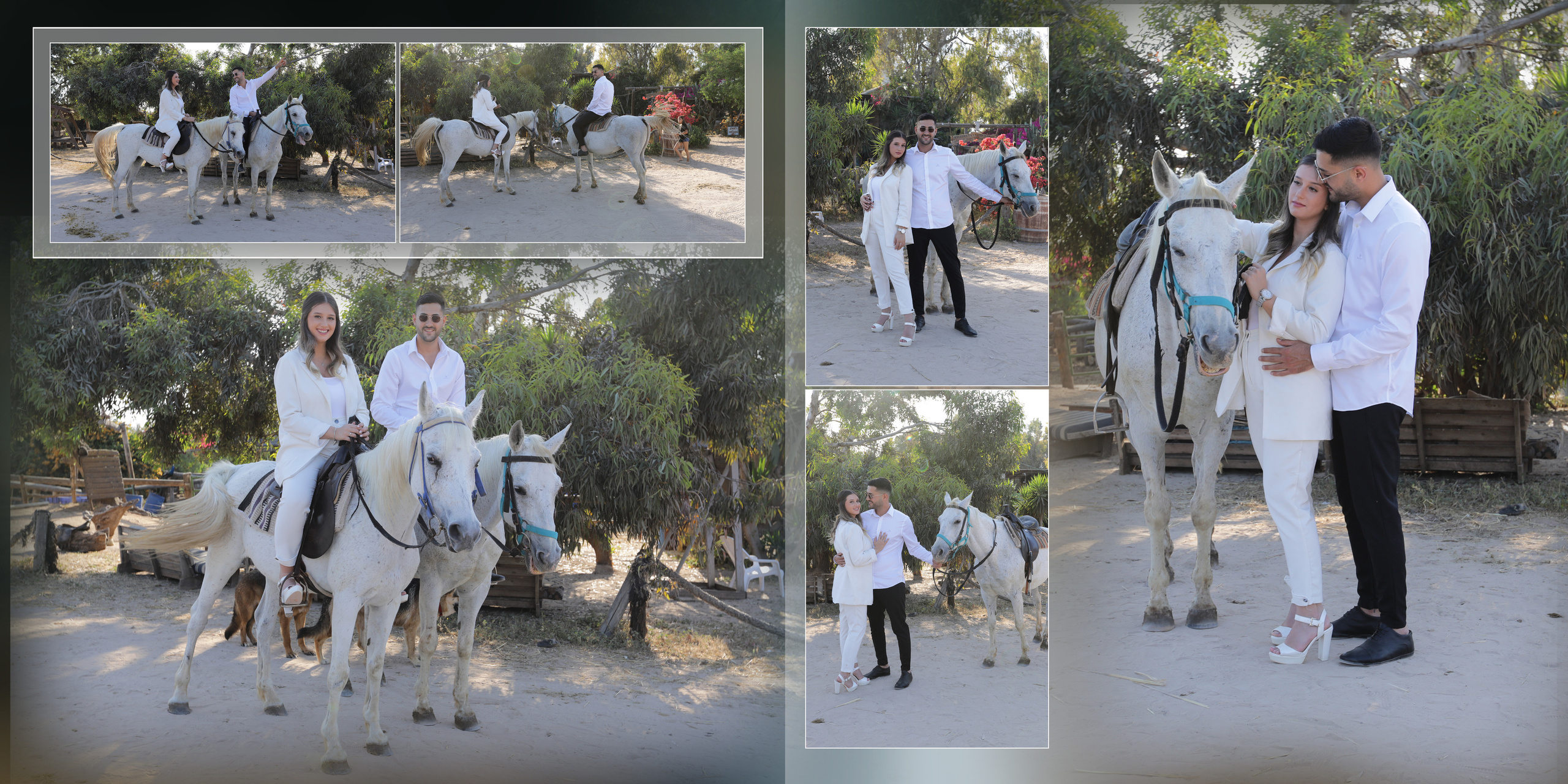 חתונה. צילום אירועים MDVD