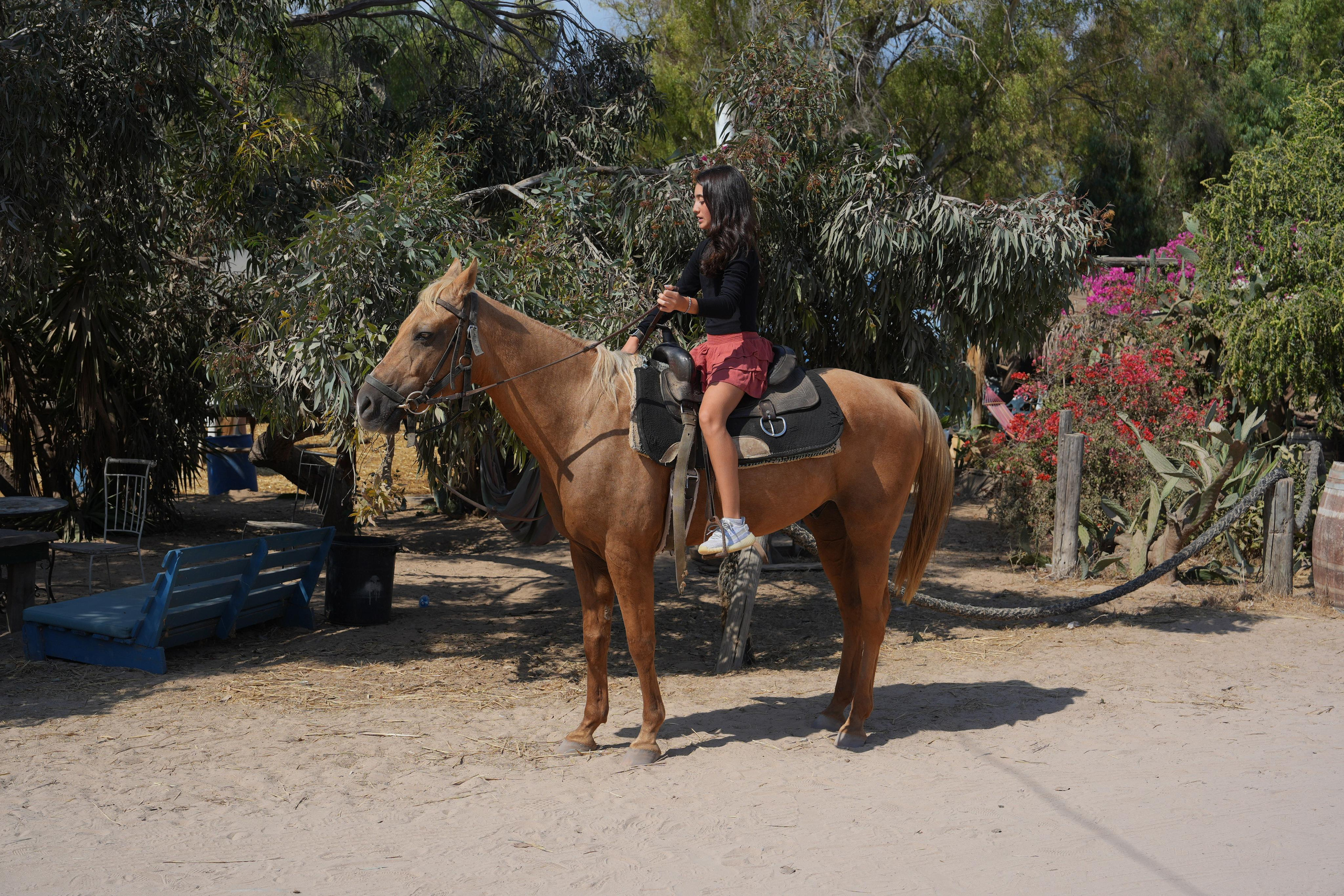 Gabriella. MDVD Фото-видео съемка мероприятий