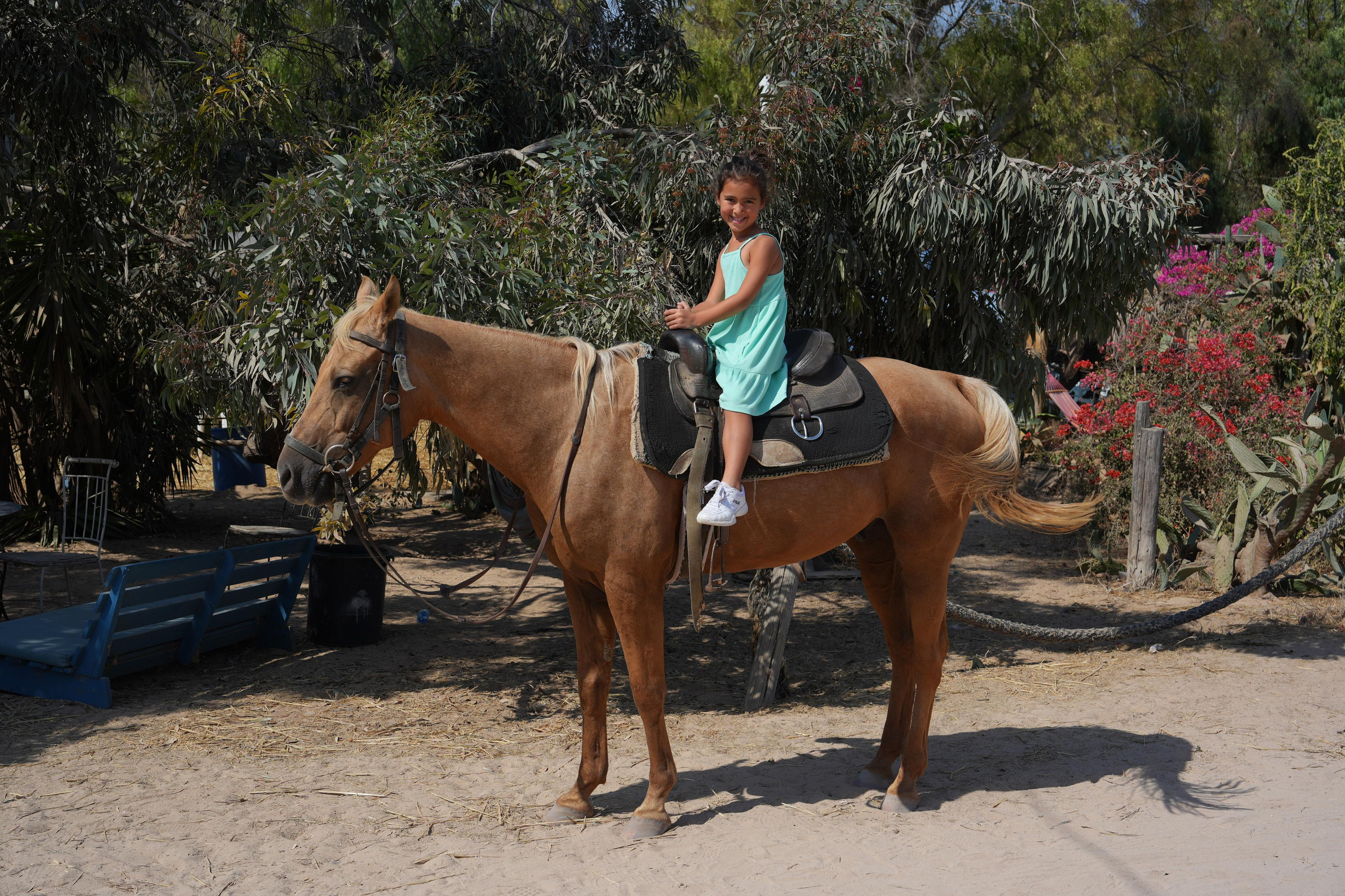 Gabriella. MDVD Фото-видео съемка мероприятий