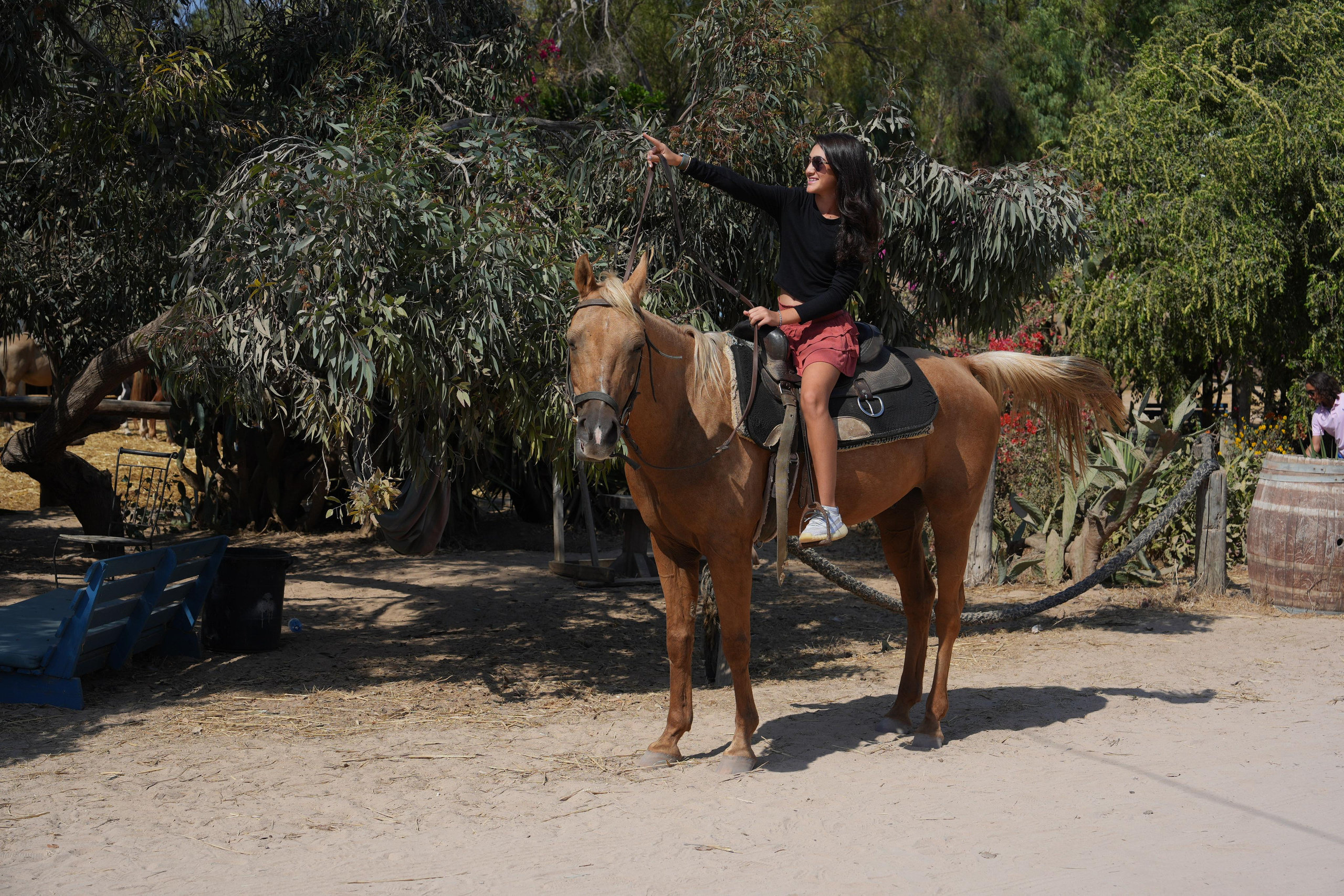 Gabriella. MDVD Фото-видео съемка мероприятий