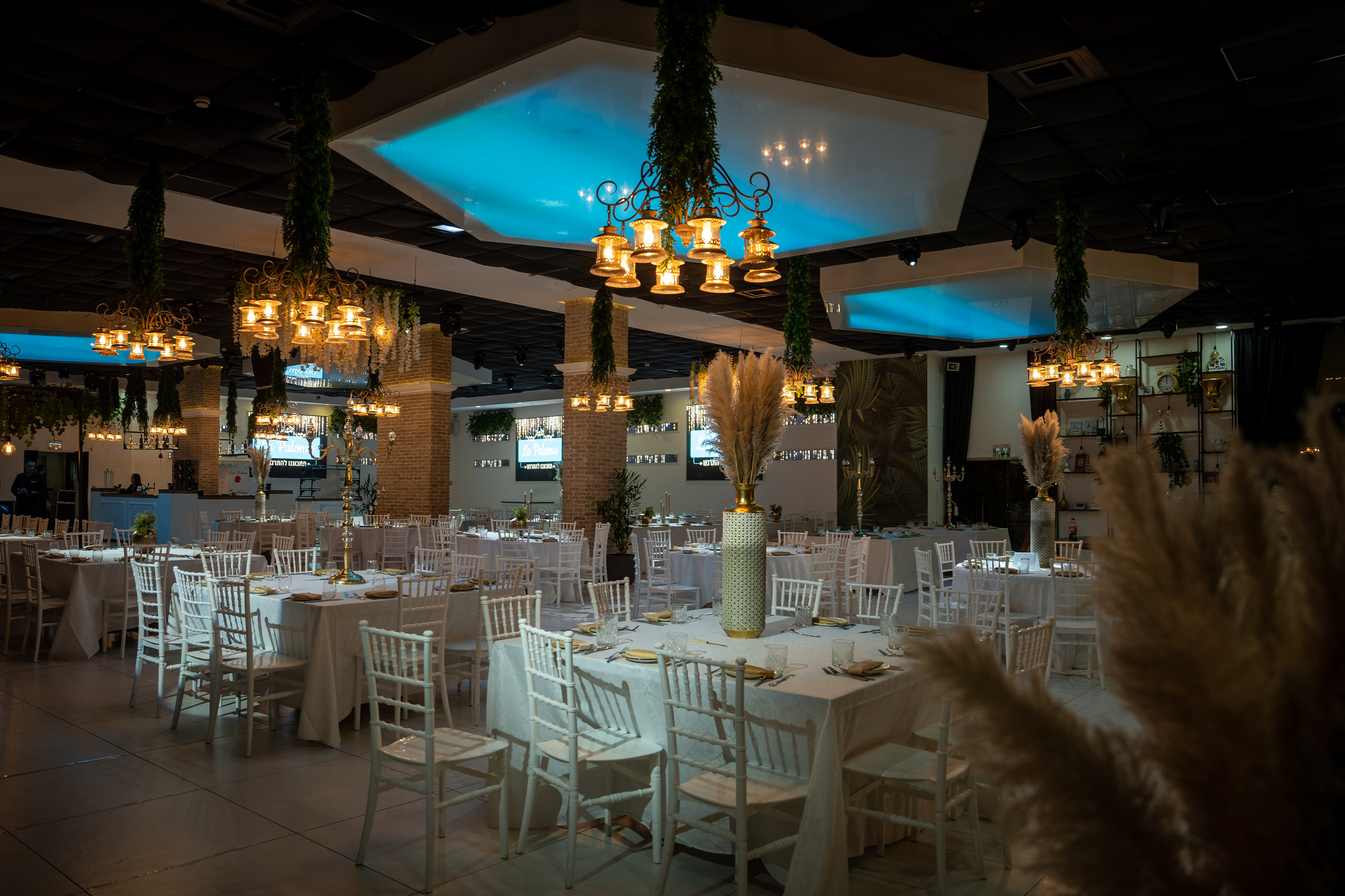 14.11.2022. MDVD Фото-видео съемка мероприятий