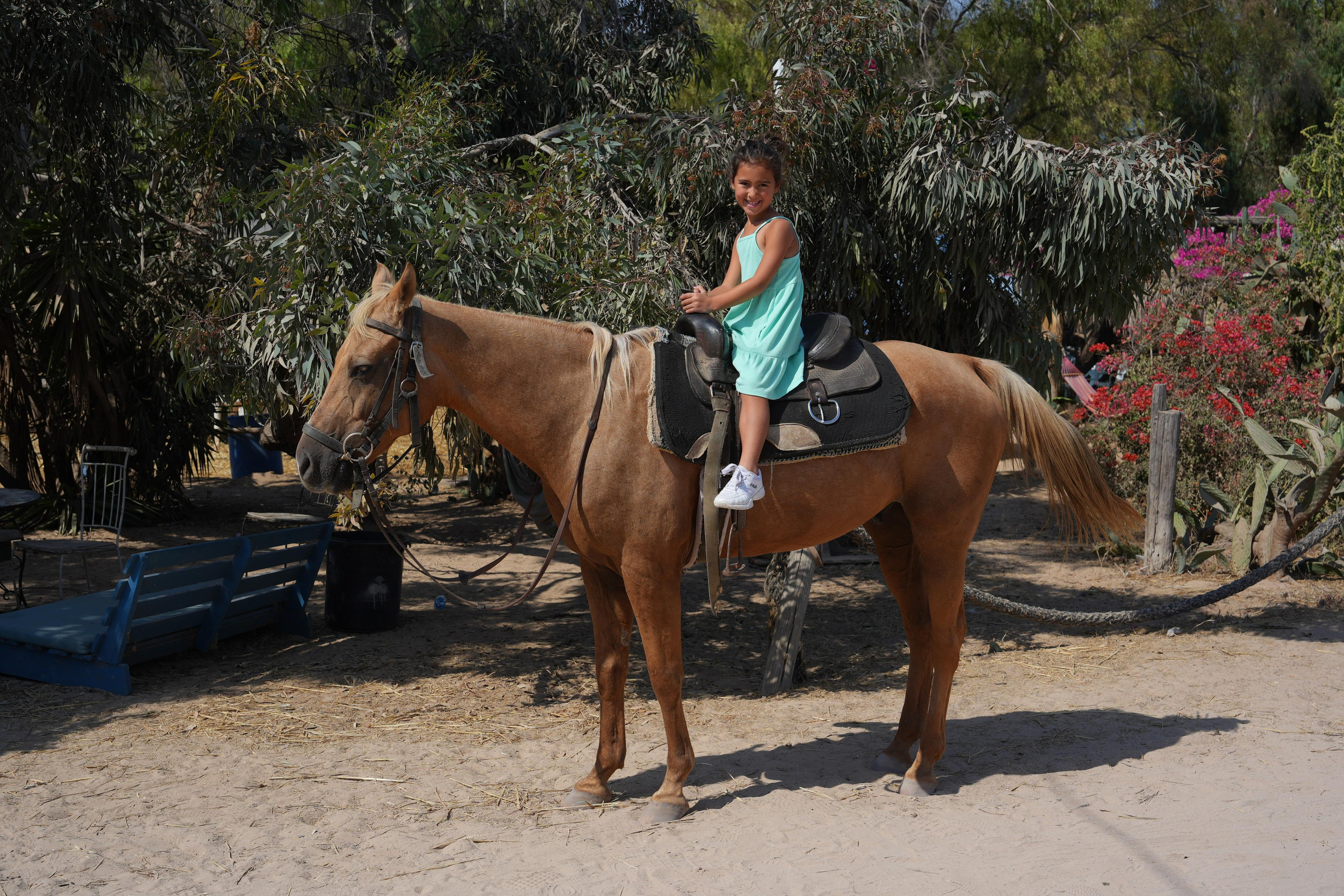 Gabriella. MDVD Фото-видео съемка мероприятий