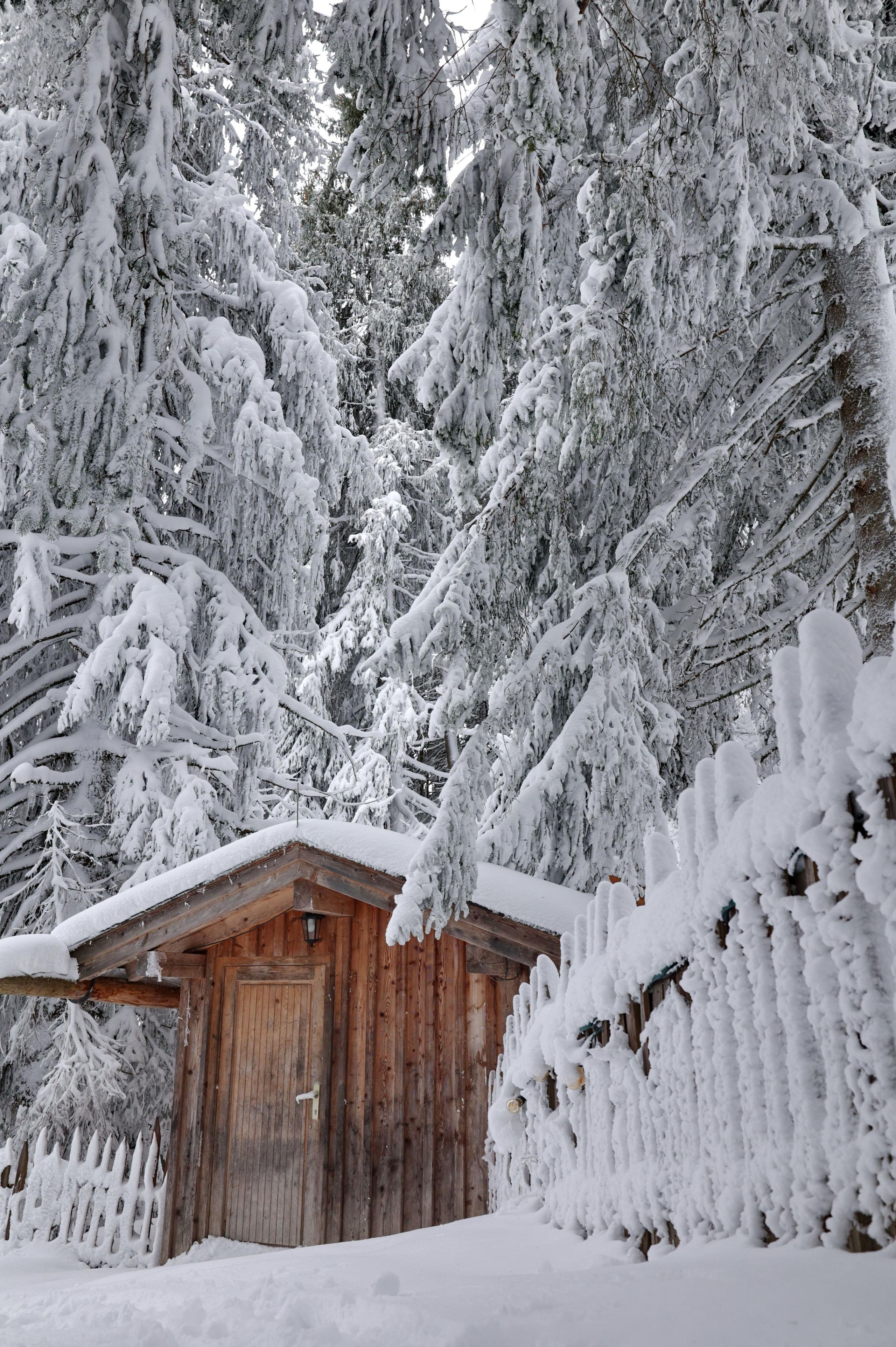 Landscapes. Couples and portraits photographer Wimbledon London