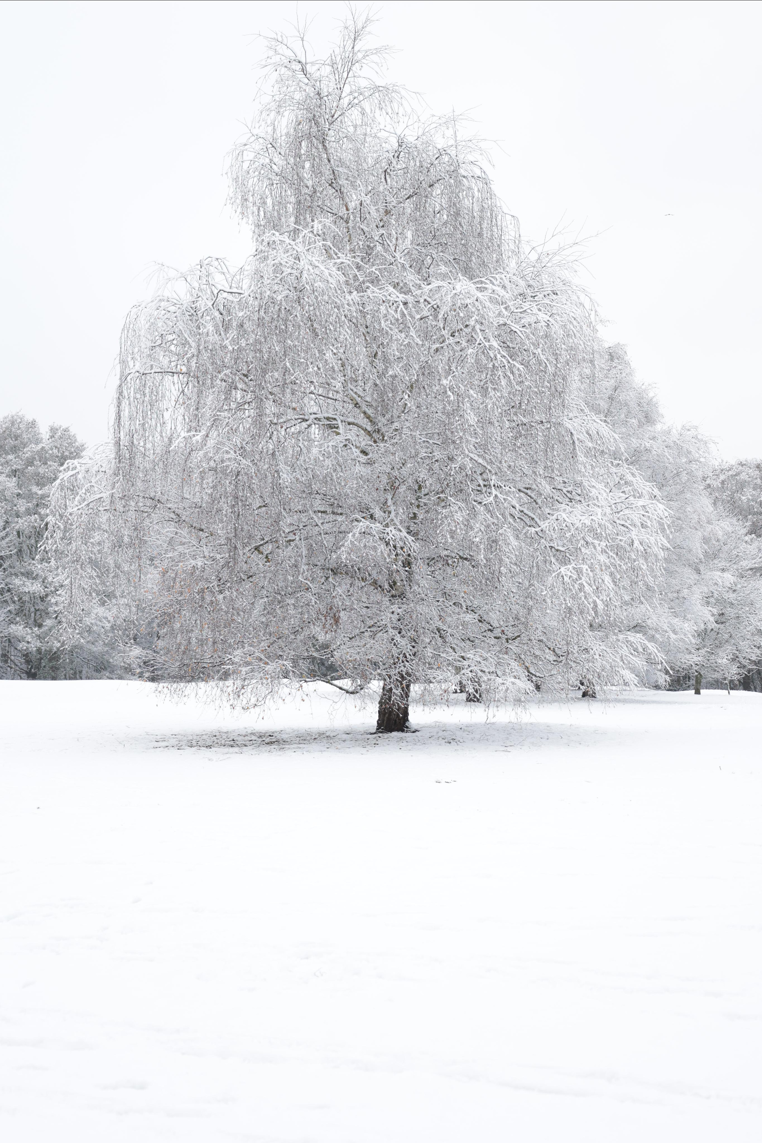 Landscapes. Couples and portraits photographer Wimbledon London