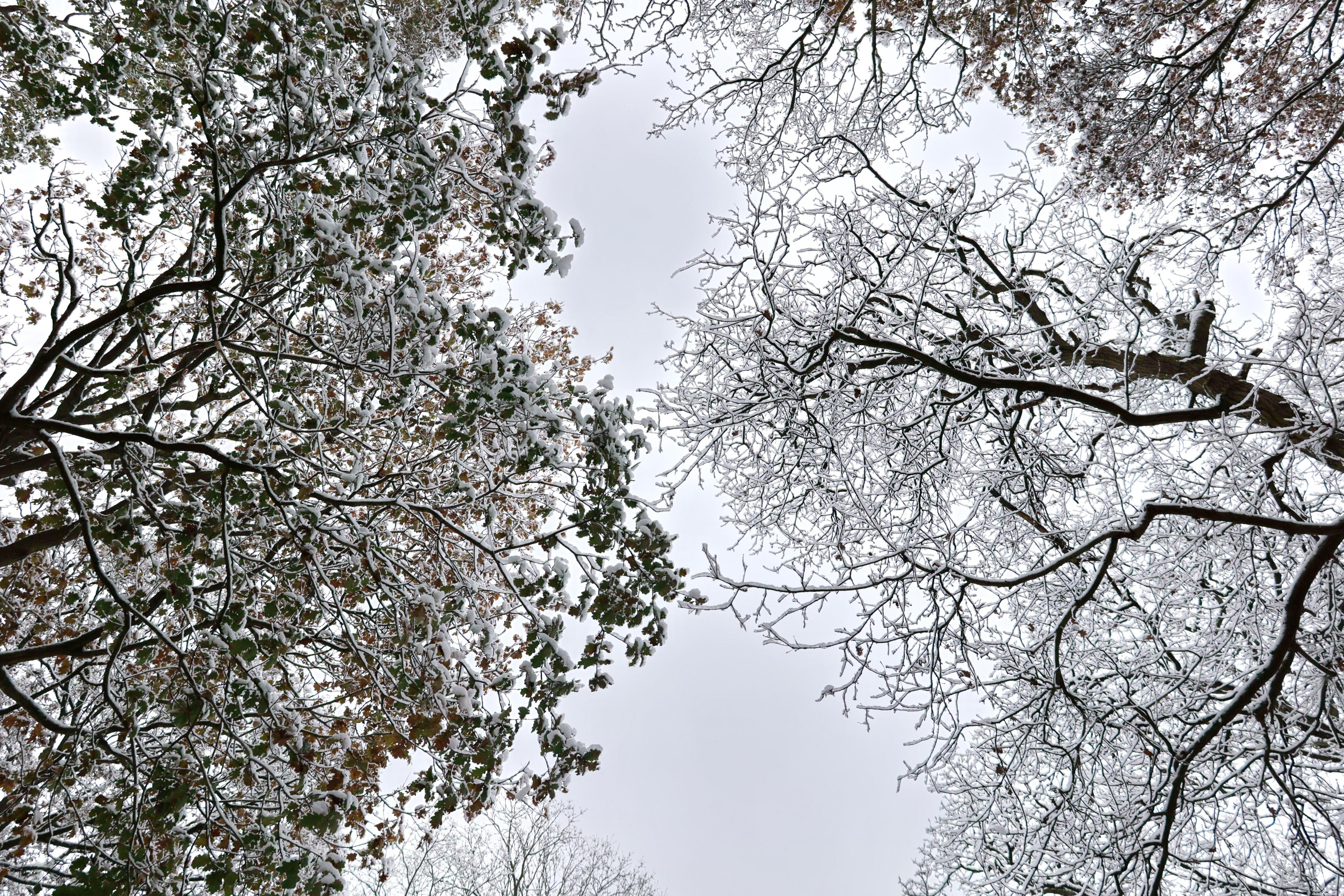 Landscapes. Couples and portraits photographer Wimbledon London