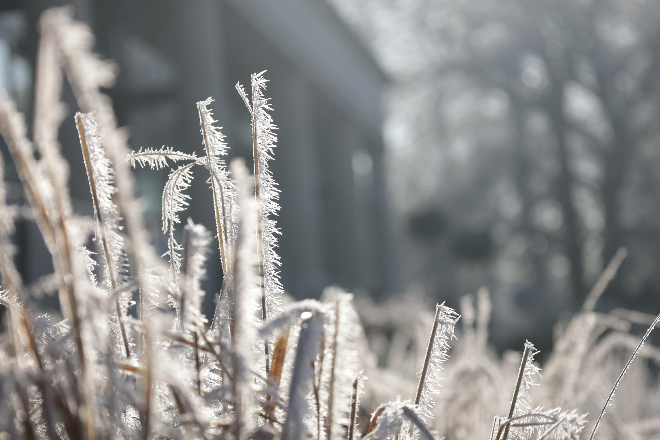 Landscapes. Couples and portraits photographer Wimbledon London