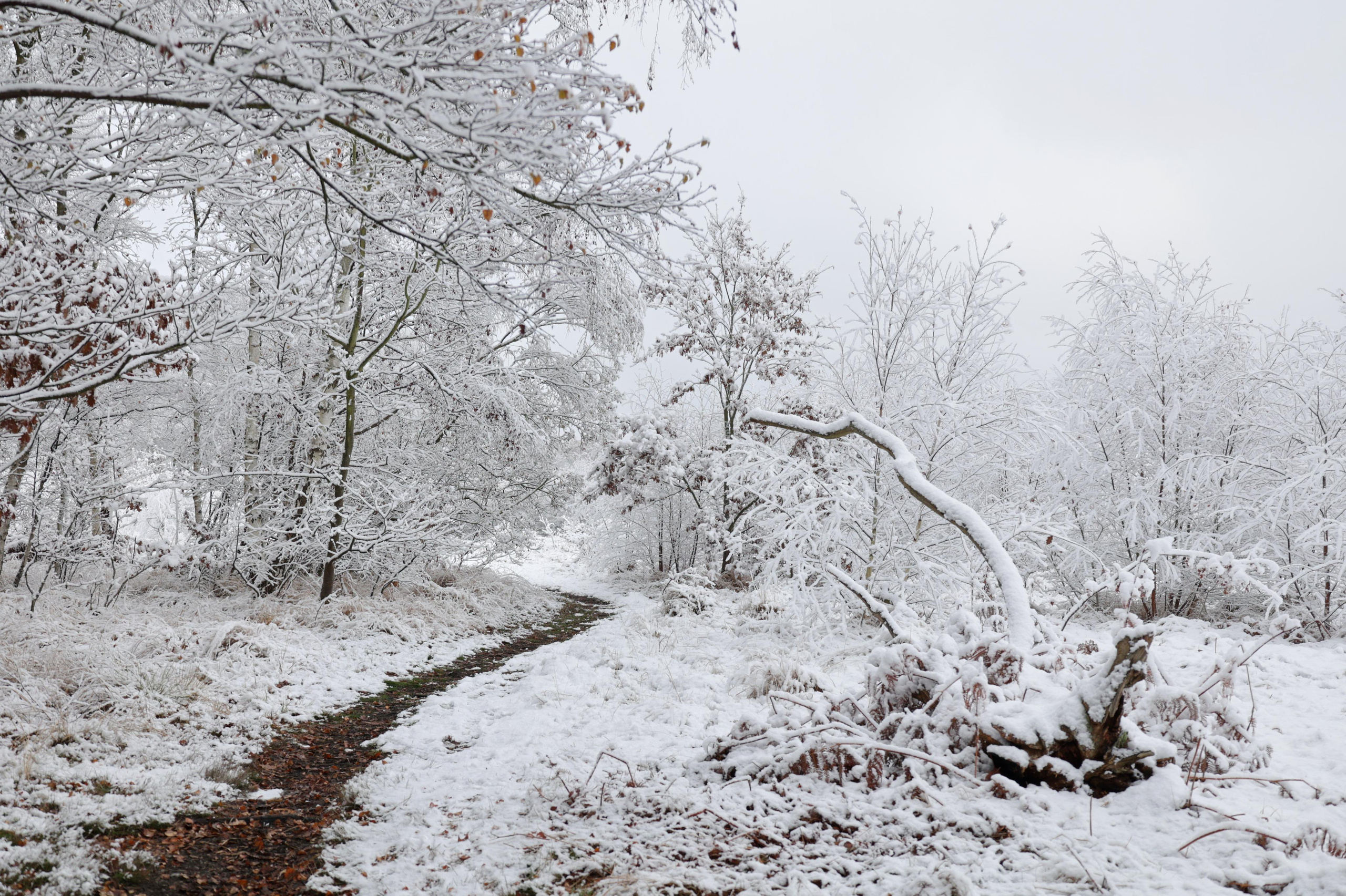 Landscapes. Couples and portraits photographer Wimbledon London