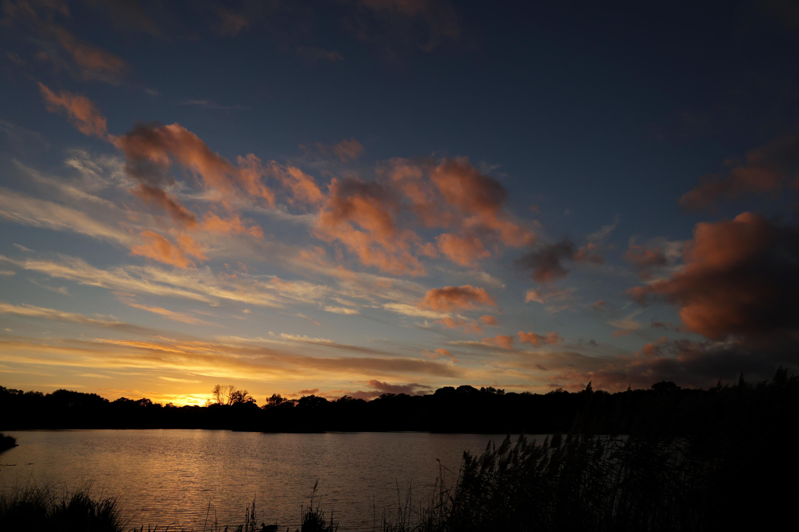 Landscapes. Couples and portraits photographer Wimbledon London