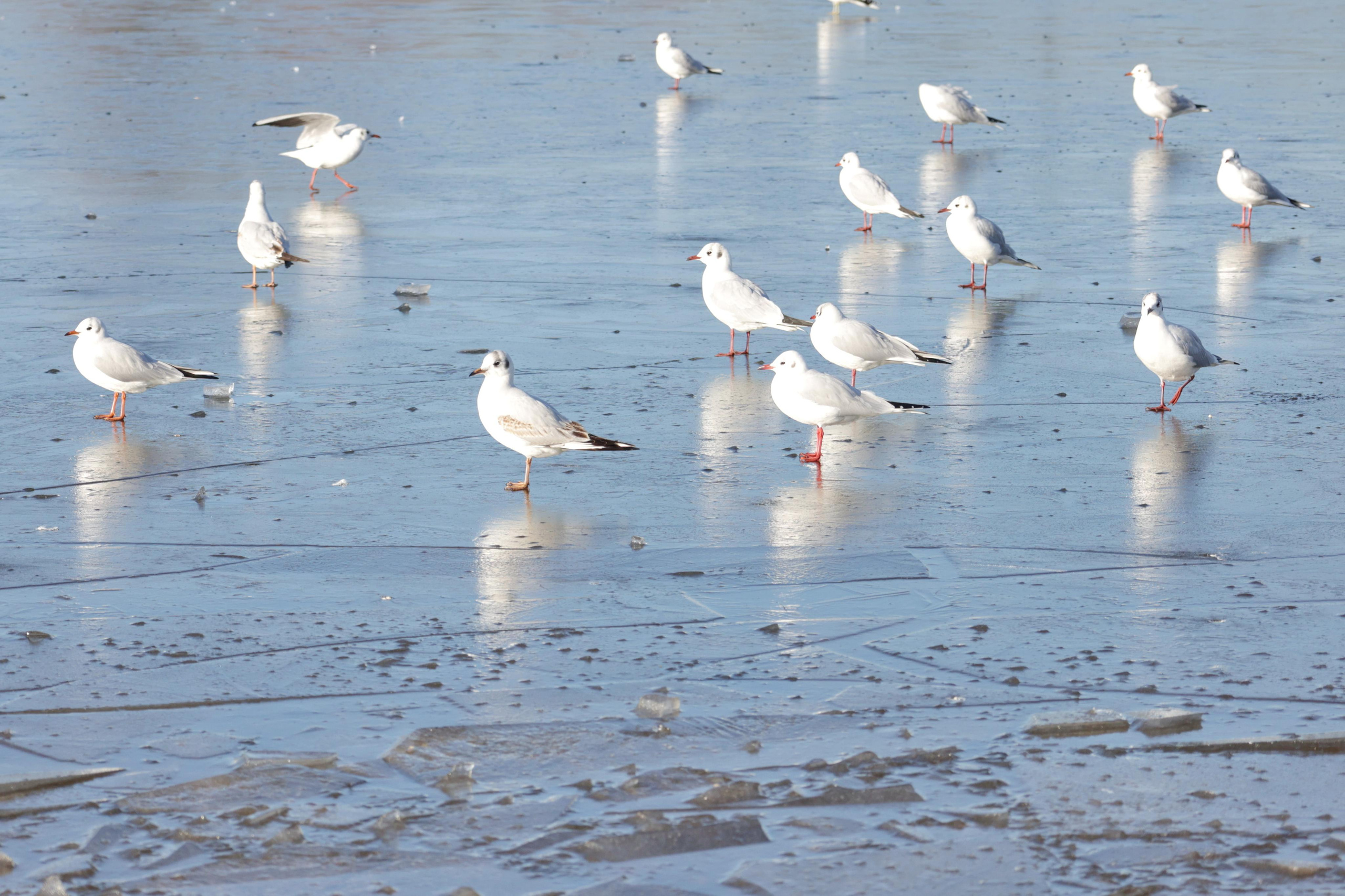 Landscapes. Couples and portraits photographer Wimbledon London