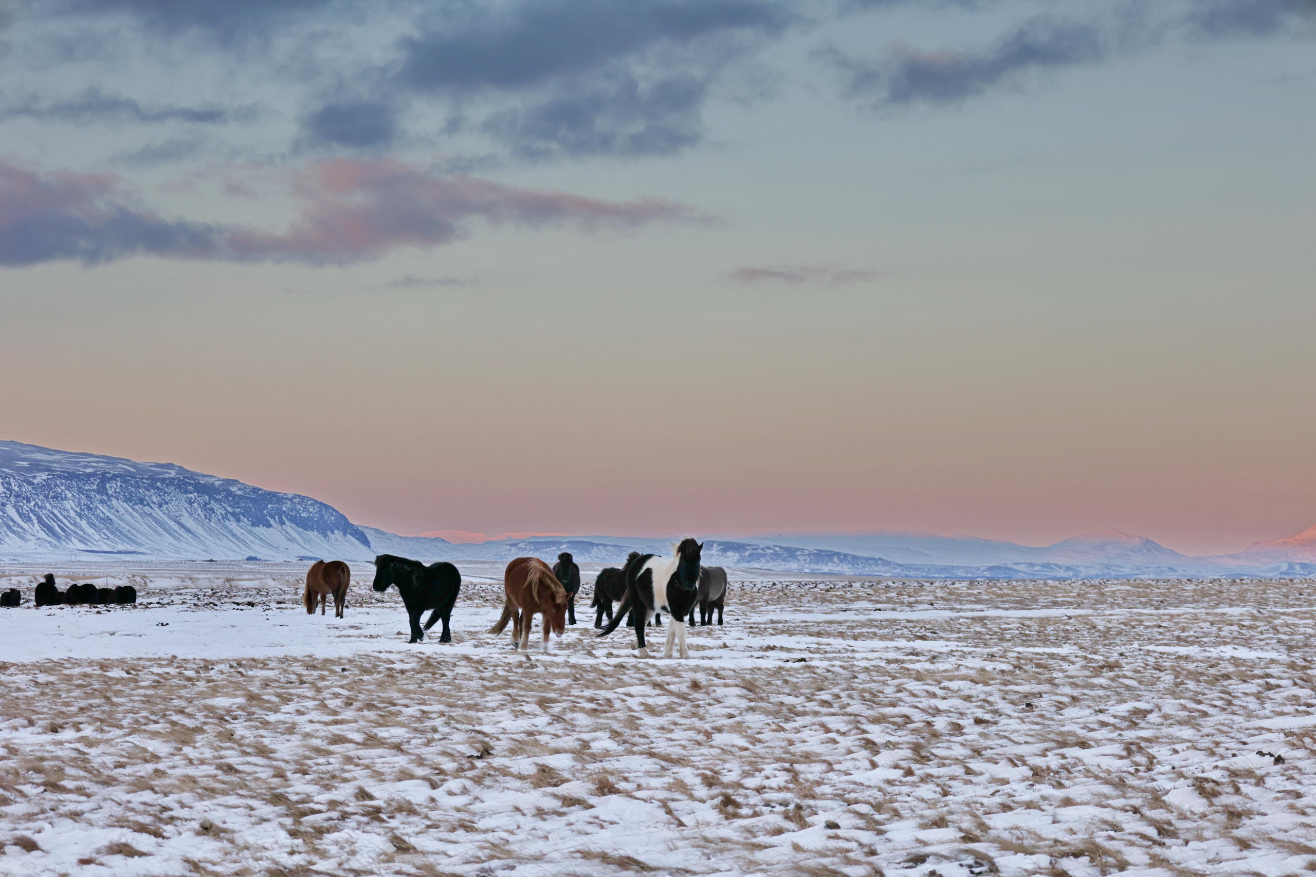 Landscapes. Couples and portraits photographer Wimbledon London